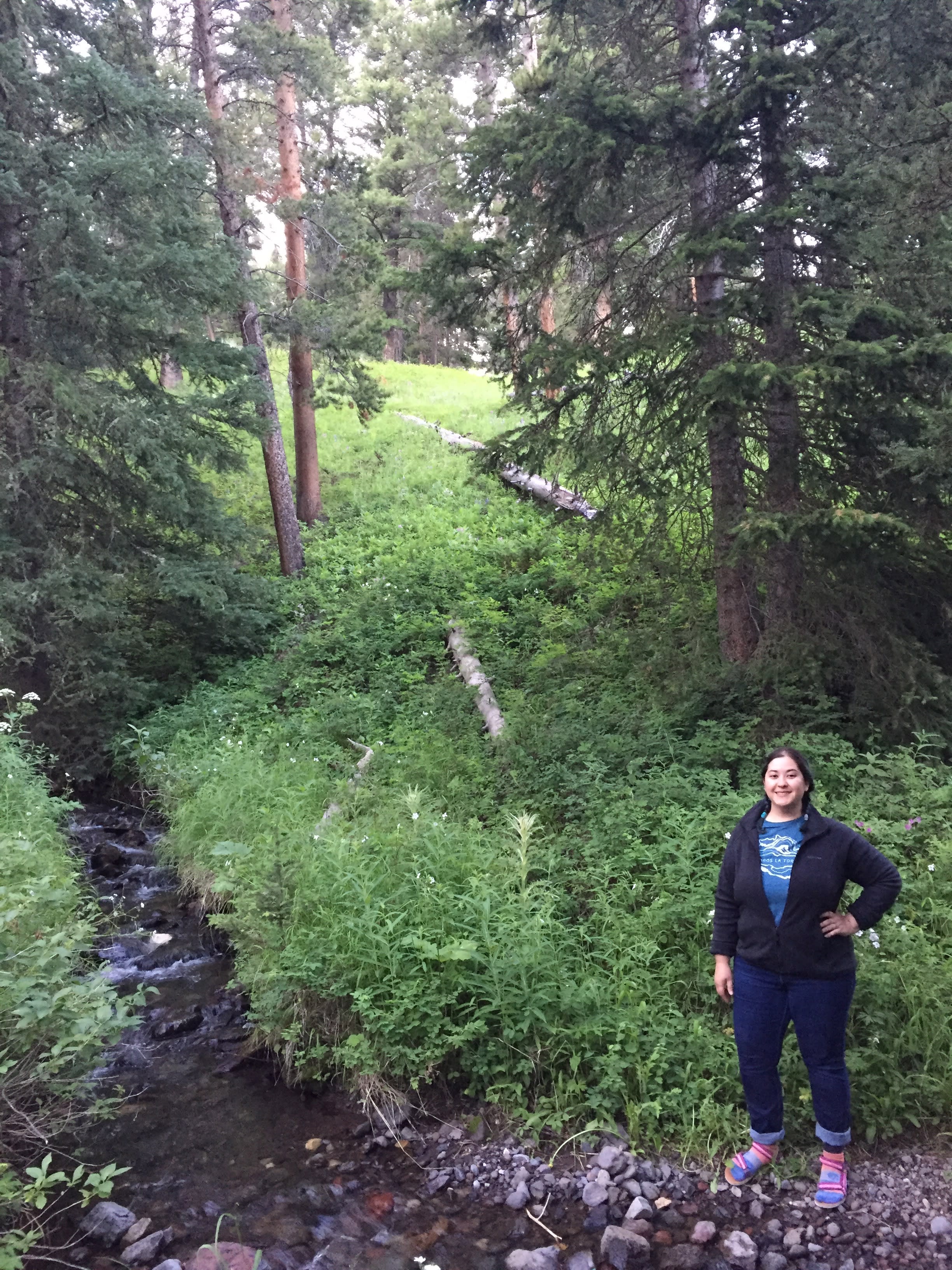 The creek right behind the campsite #9