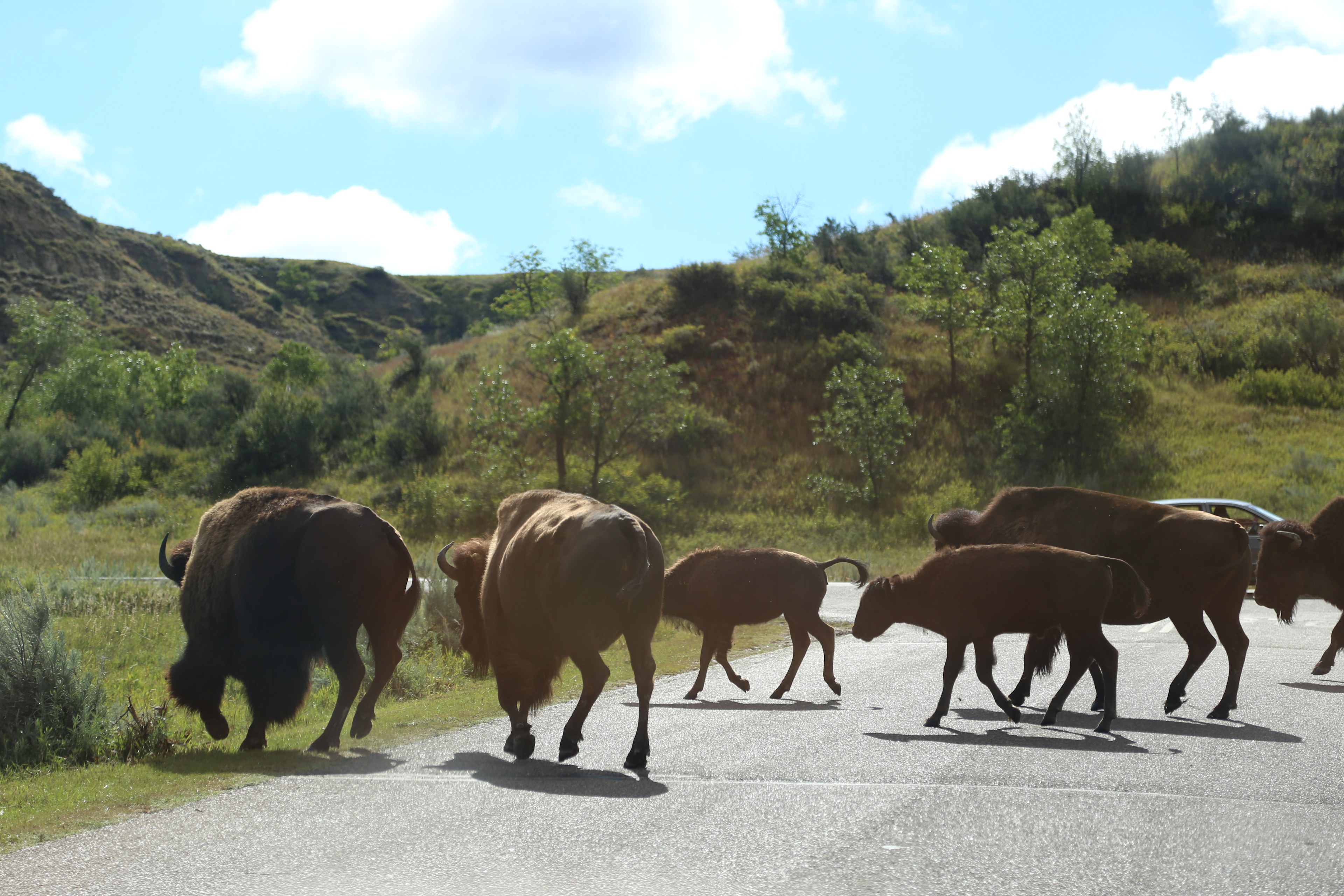 Sage Creek Campground