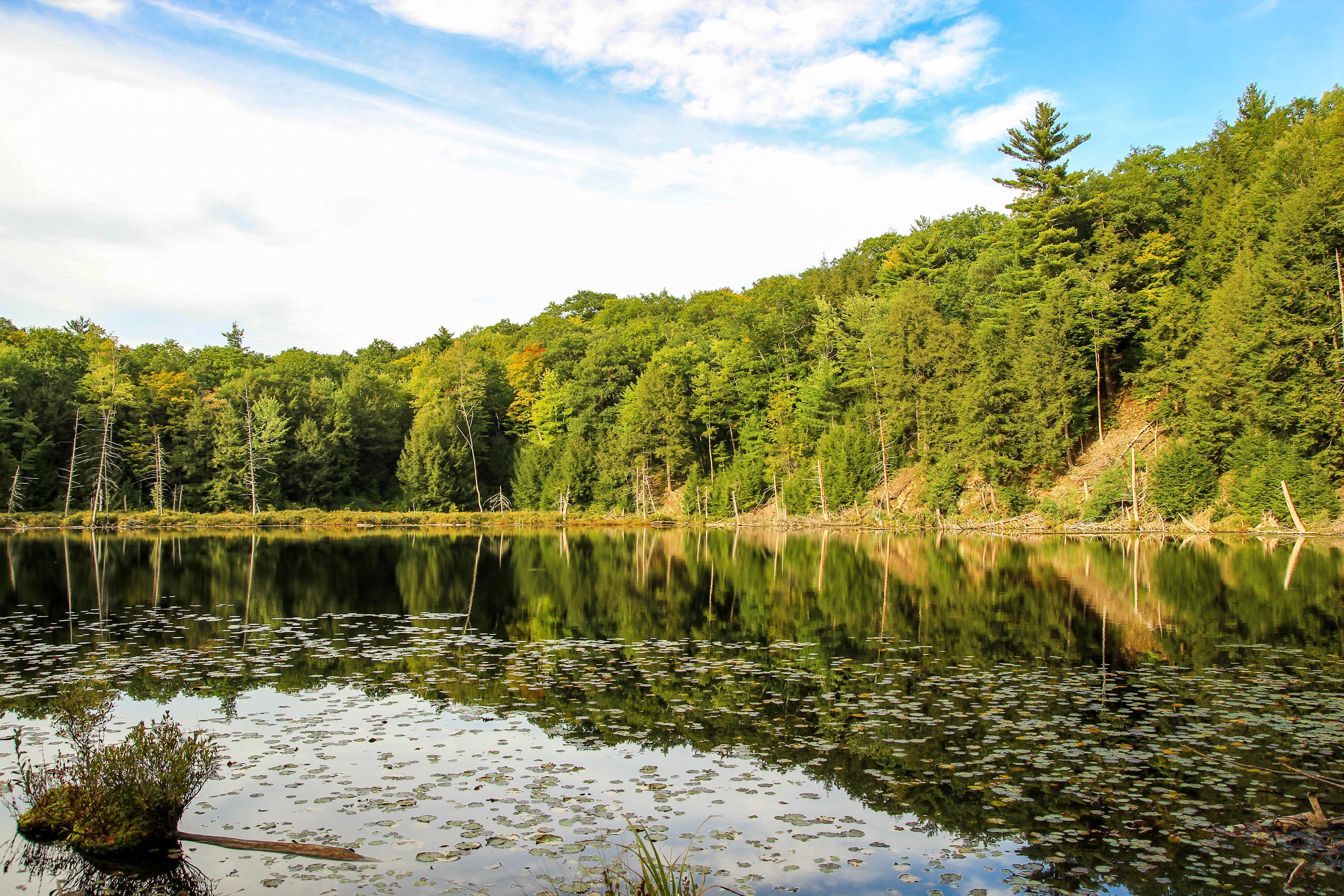 The view at High Pond