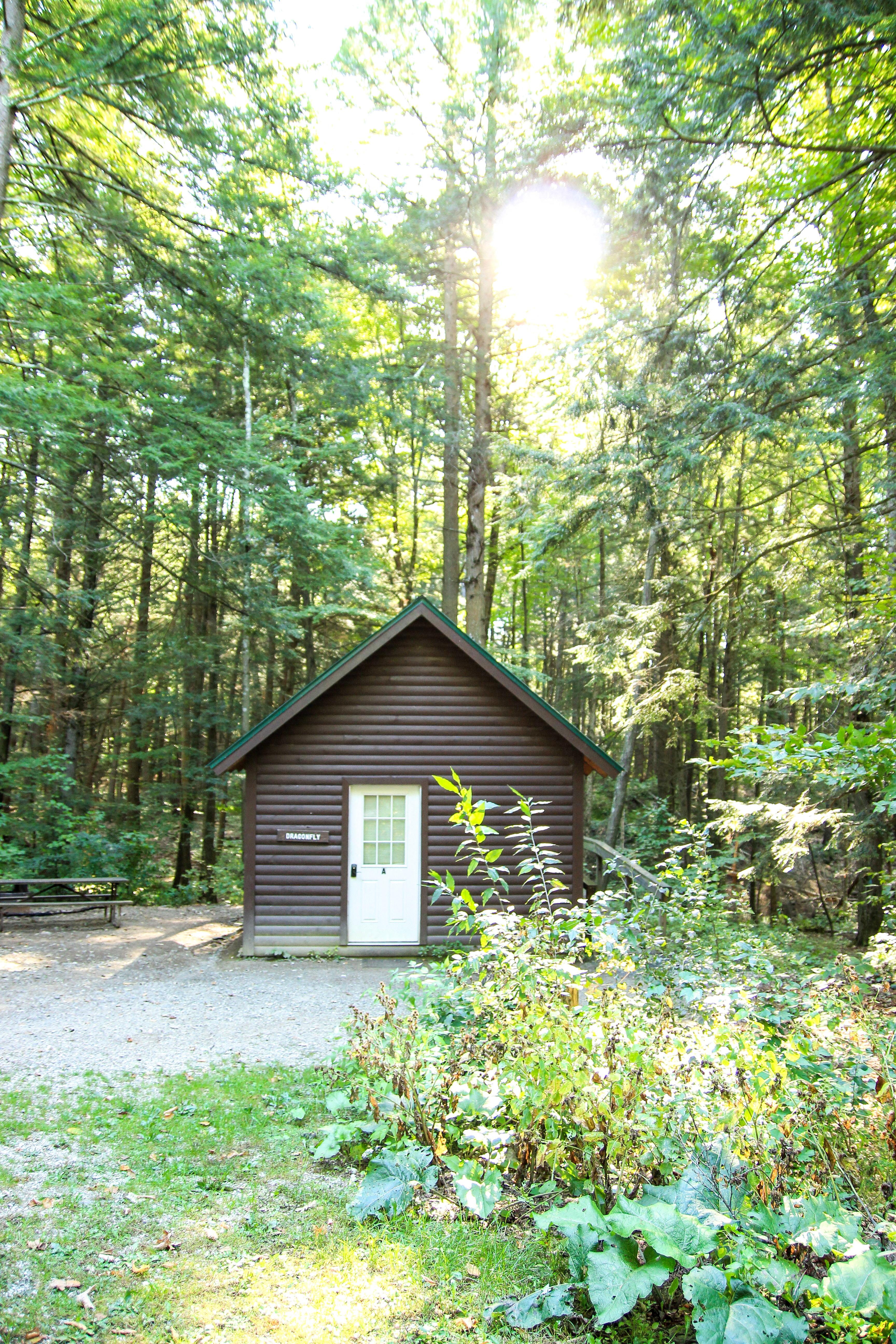 The cabin across the way from Butterfly cabin