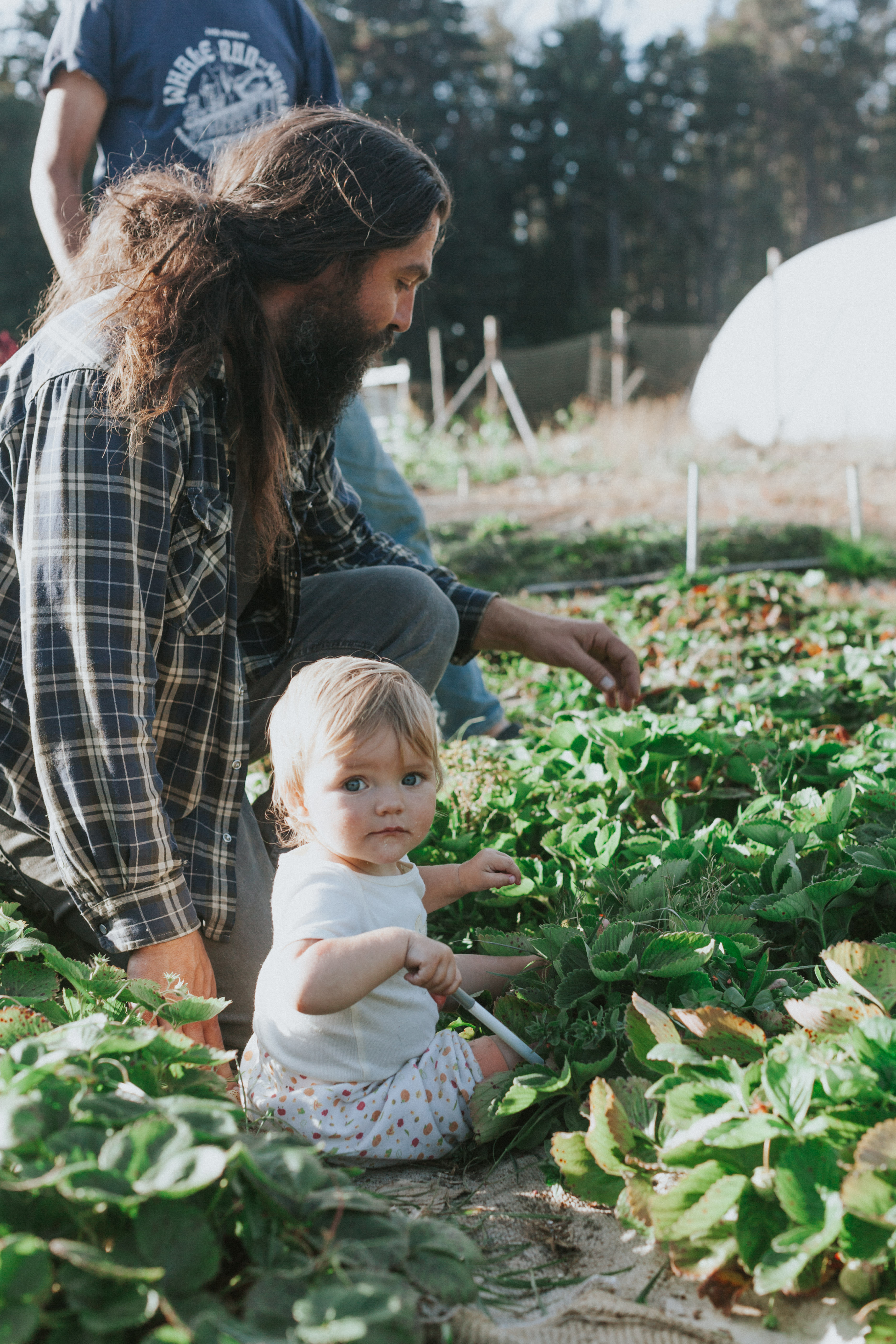Picking strawberries!!