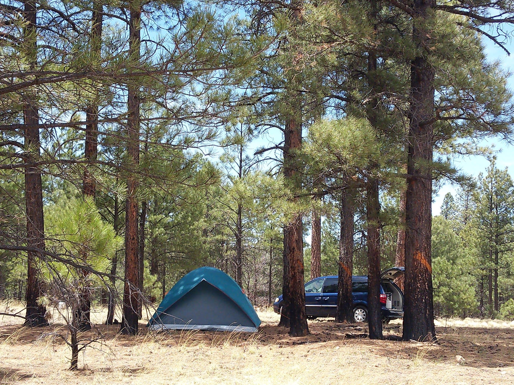 Long Valley Work Center Group Campground