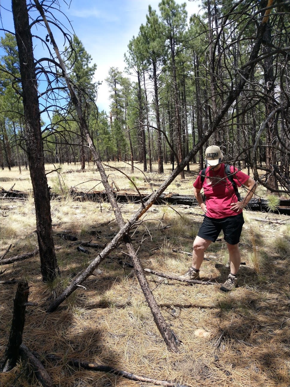 Long Valley Work Center Group Campground
