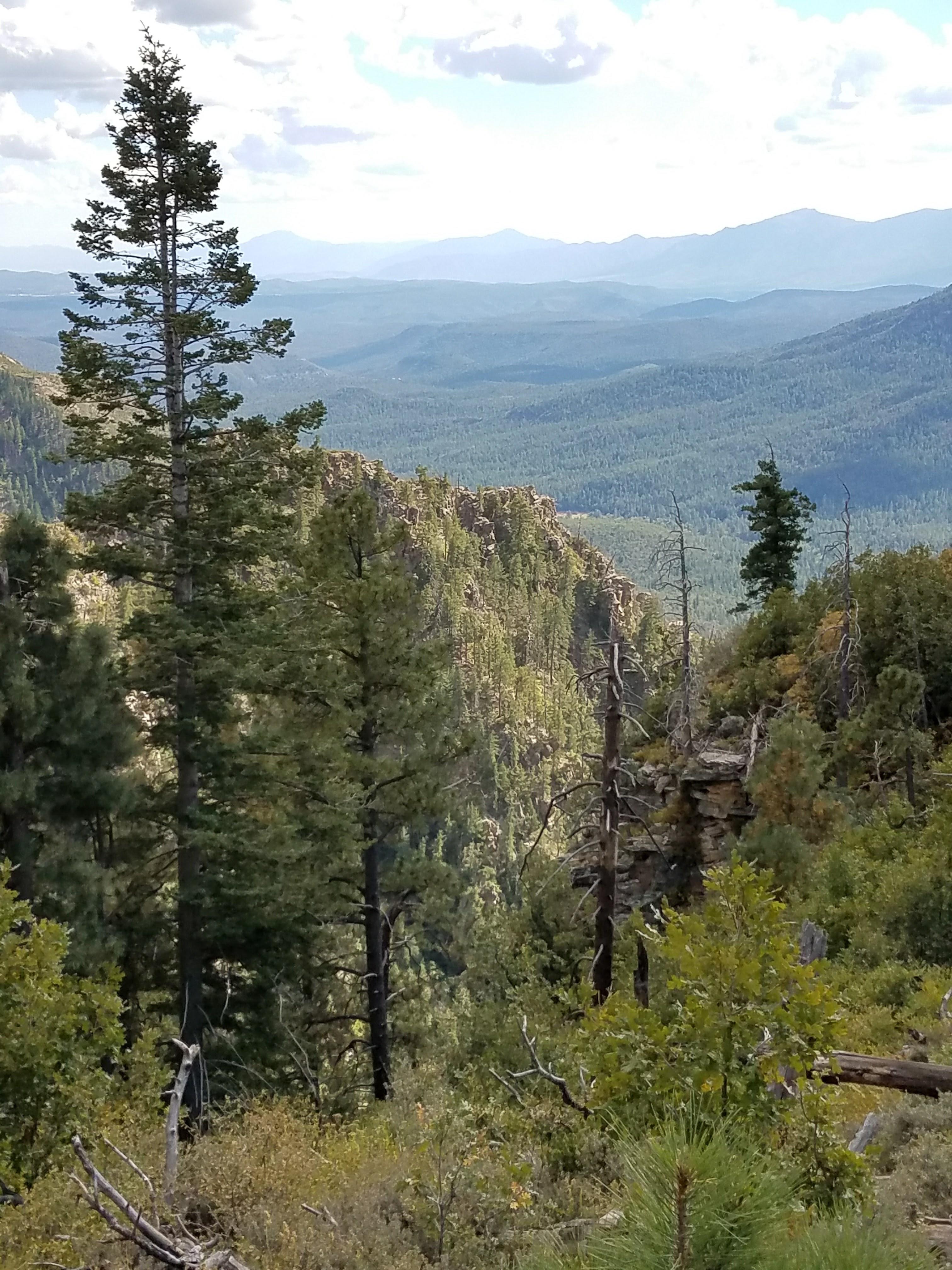 Apache-Sitgreaves National Forest