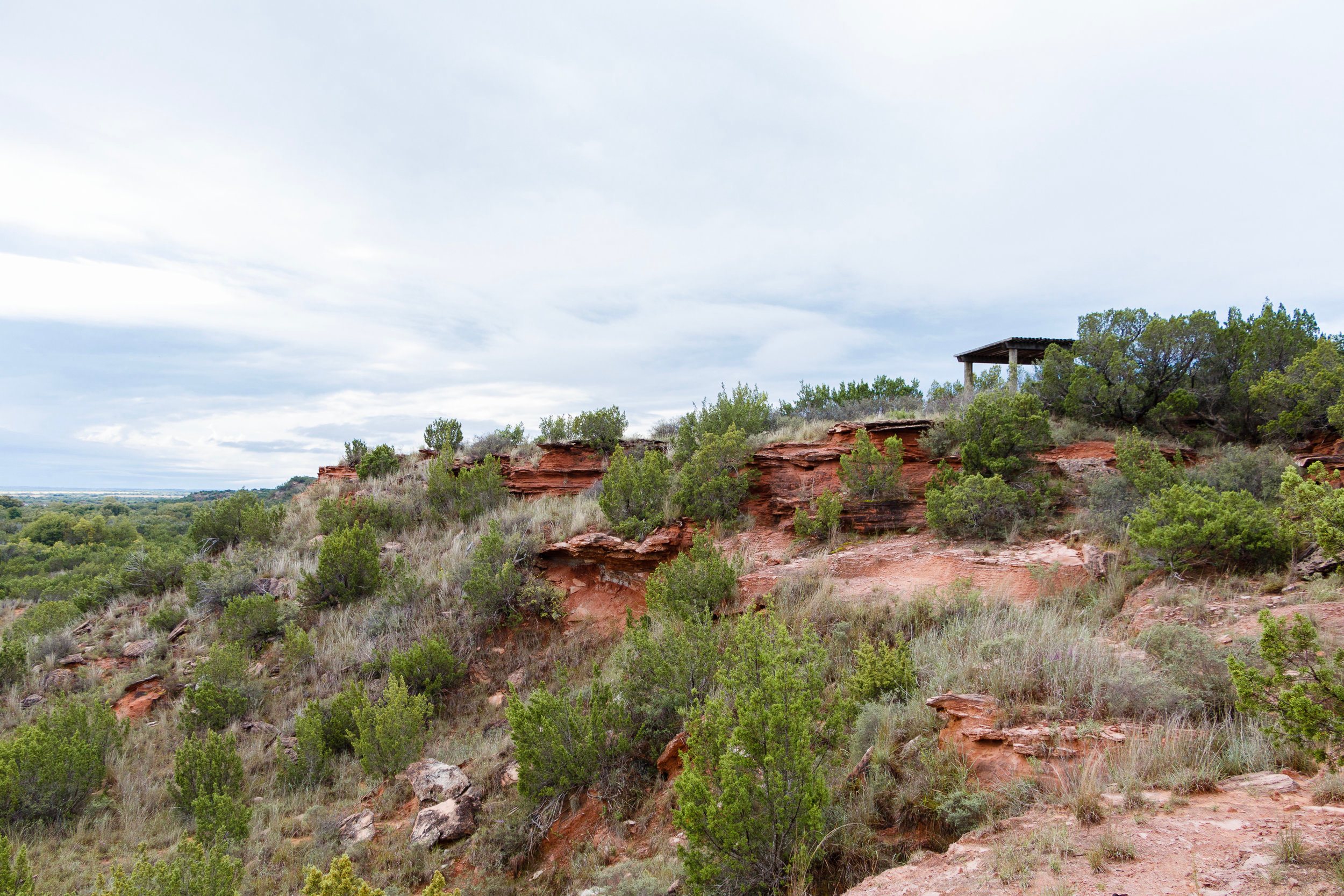 Big Pond Equestrian Campground