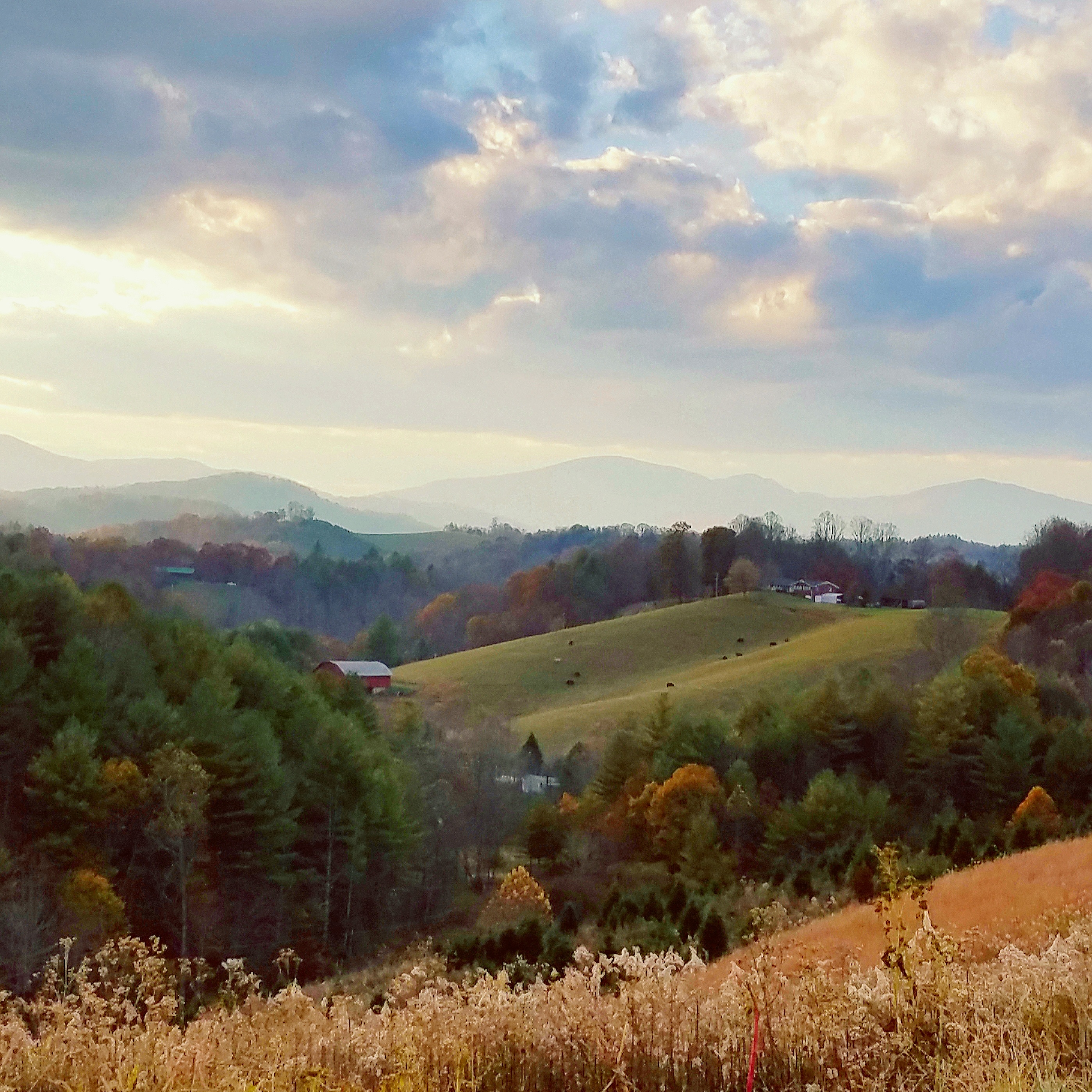 View as you drive down into the holler
