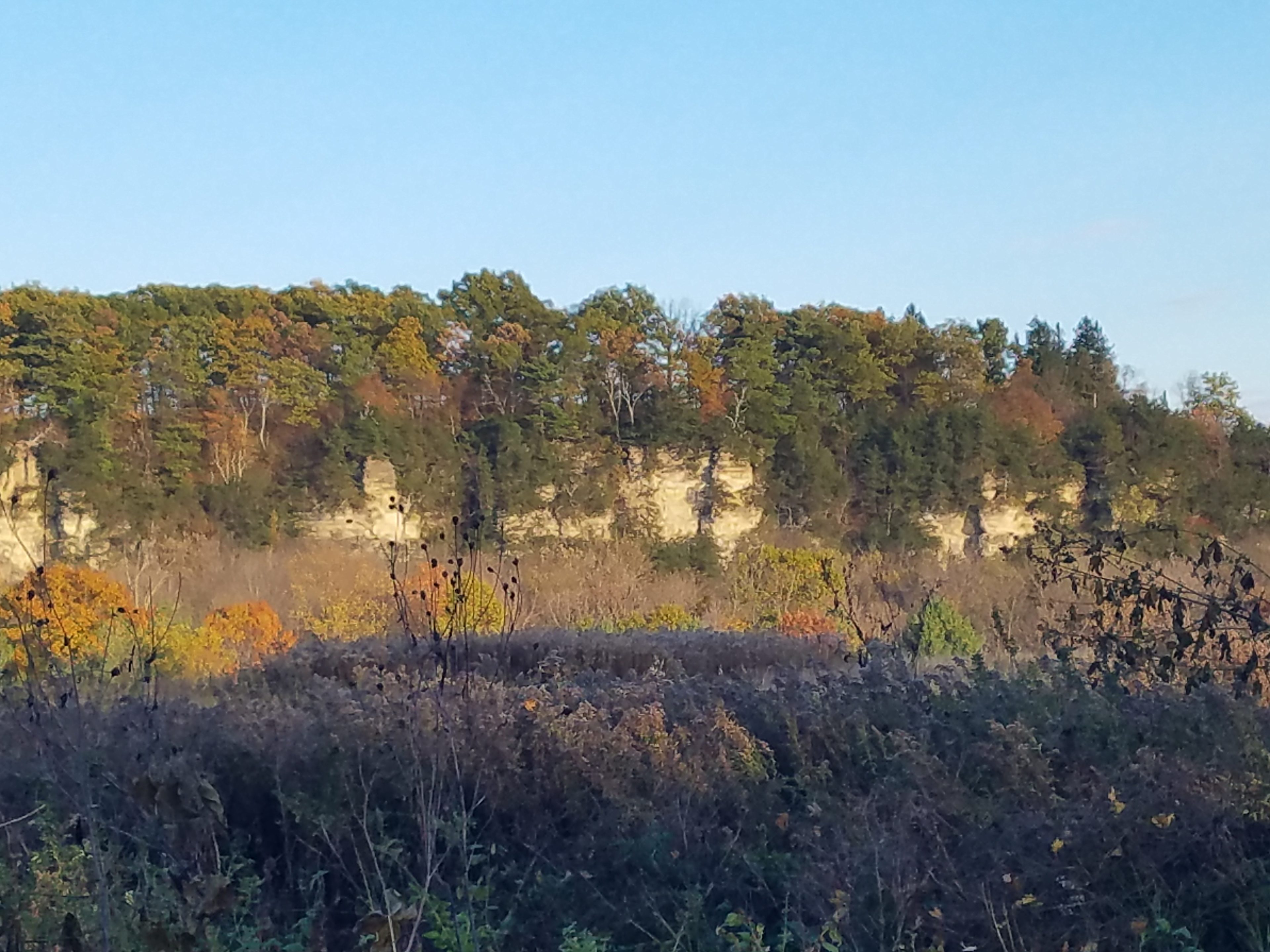Bluff Hollow Camp on the Root River