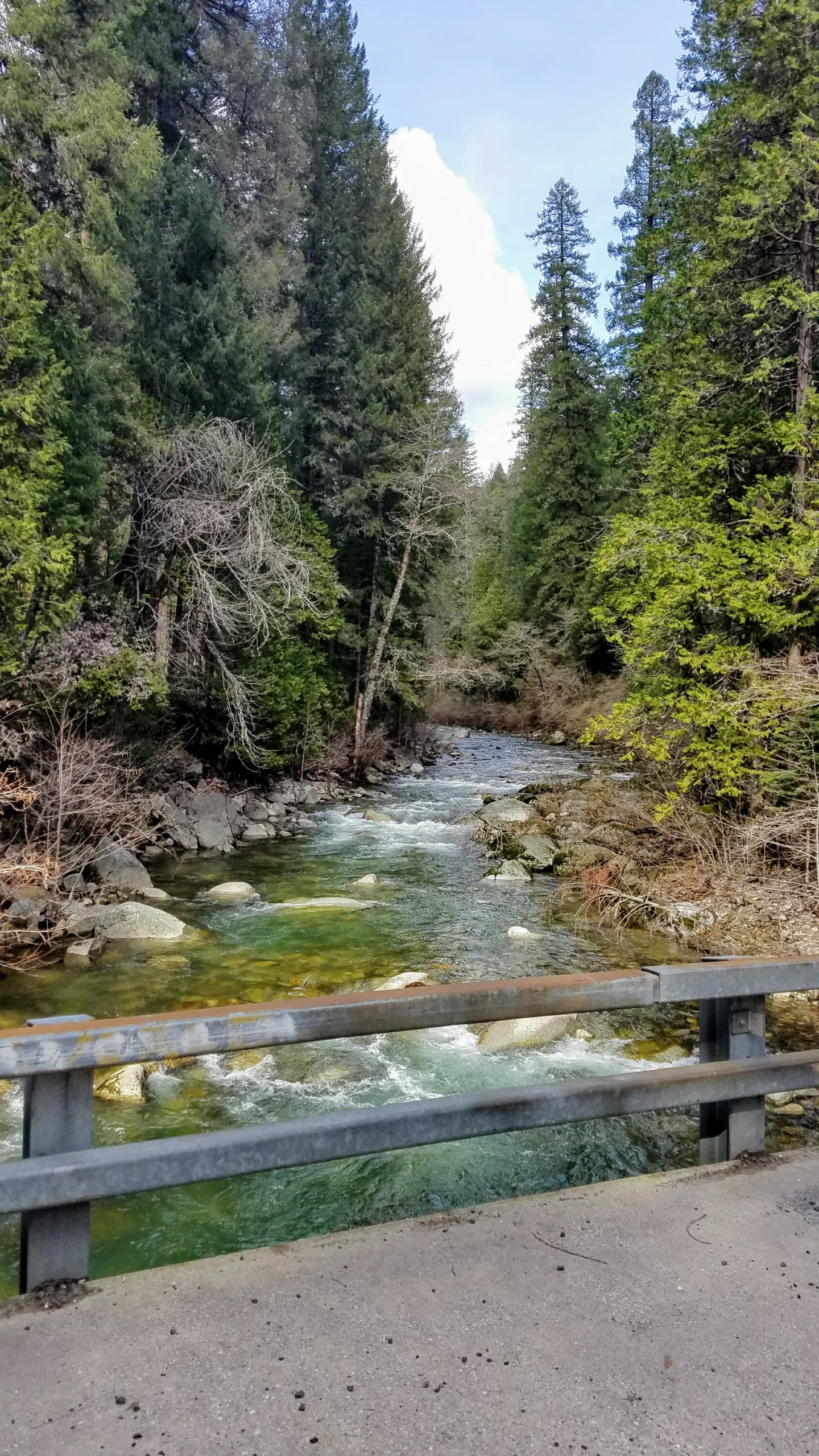 Golden Trout Campground