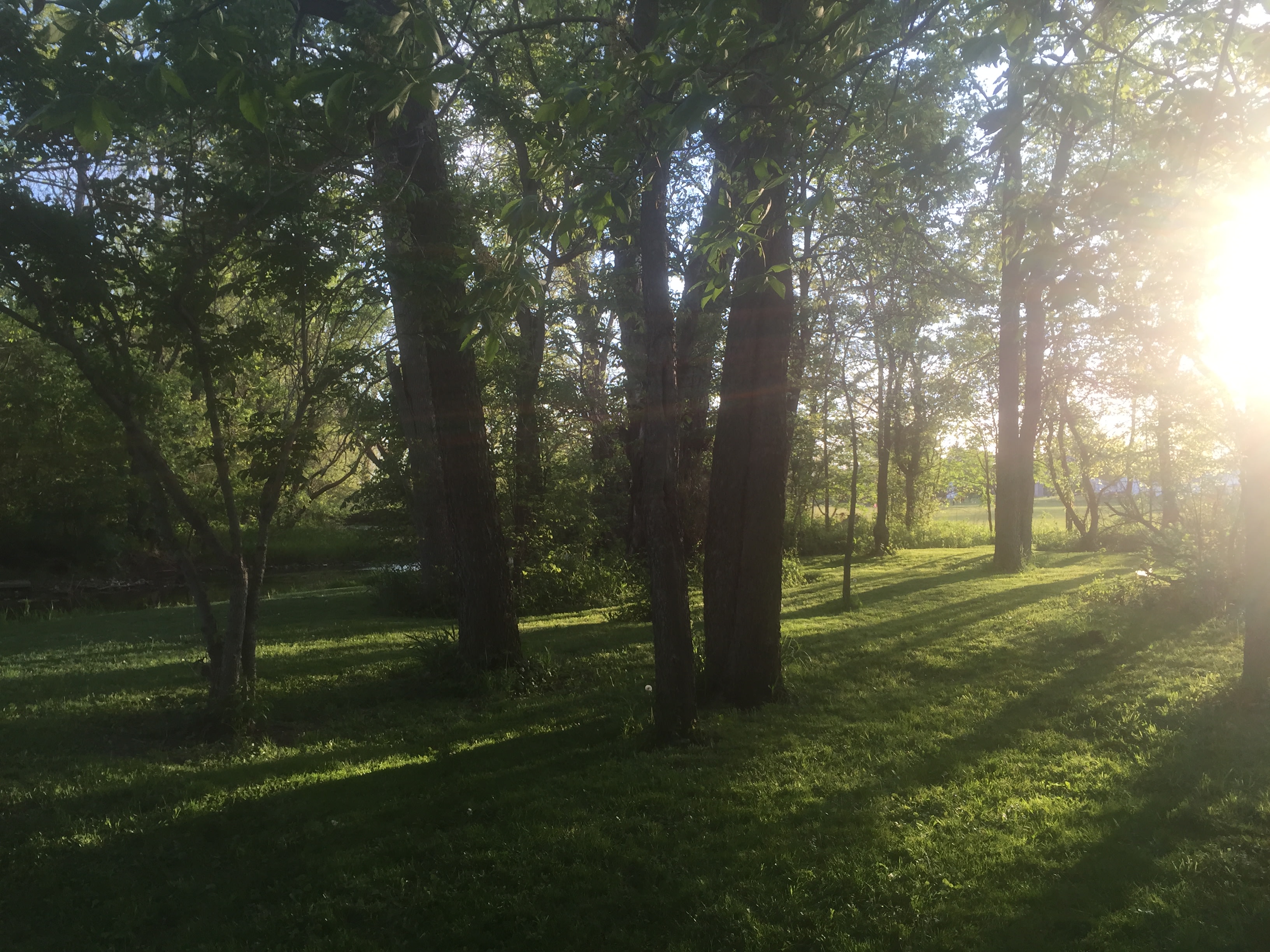 Views from around the property