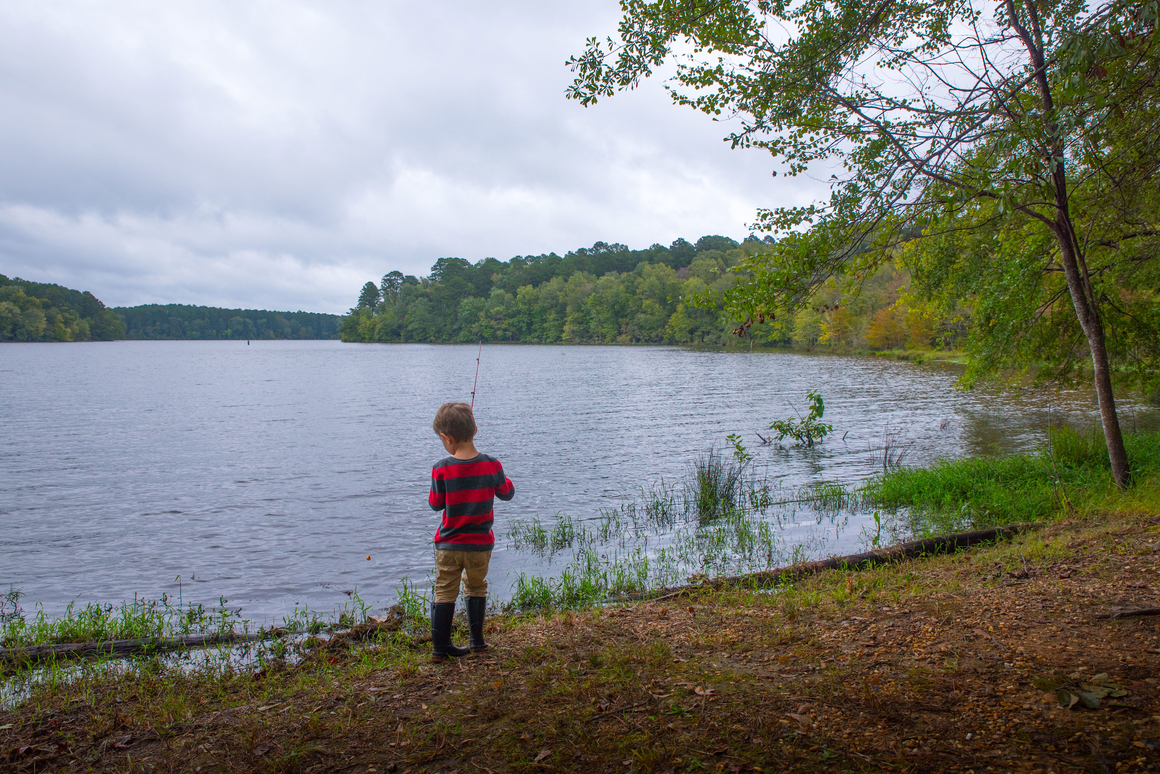 Fish from the shore right by the tent and/or RV sites, or from the fishing dock!