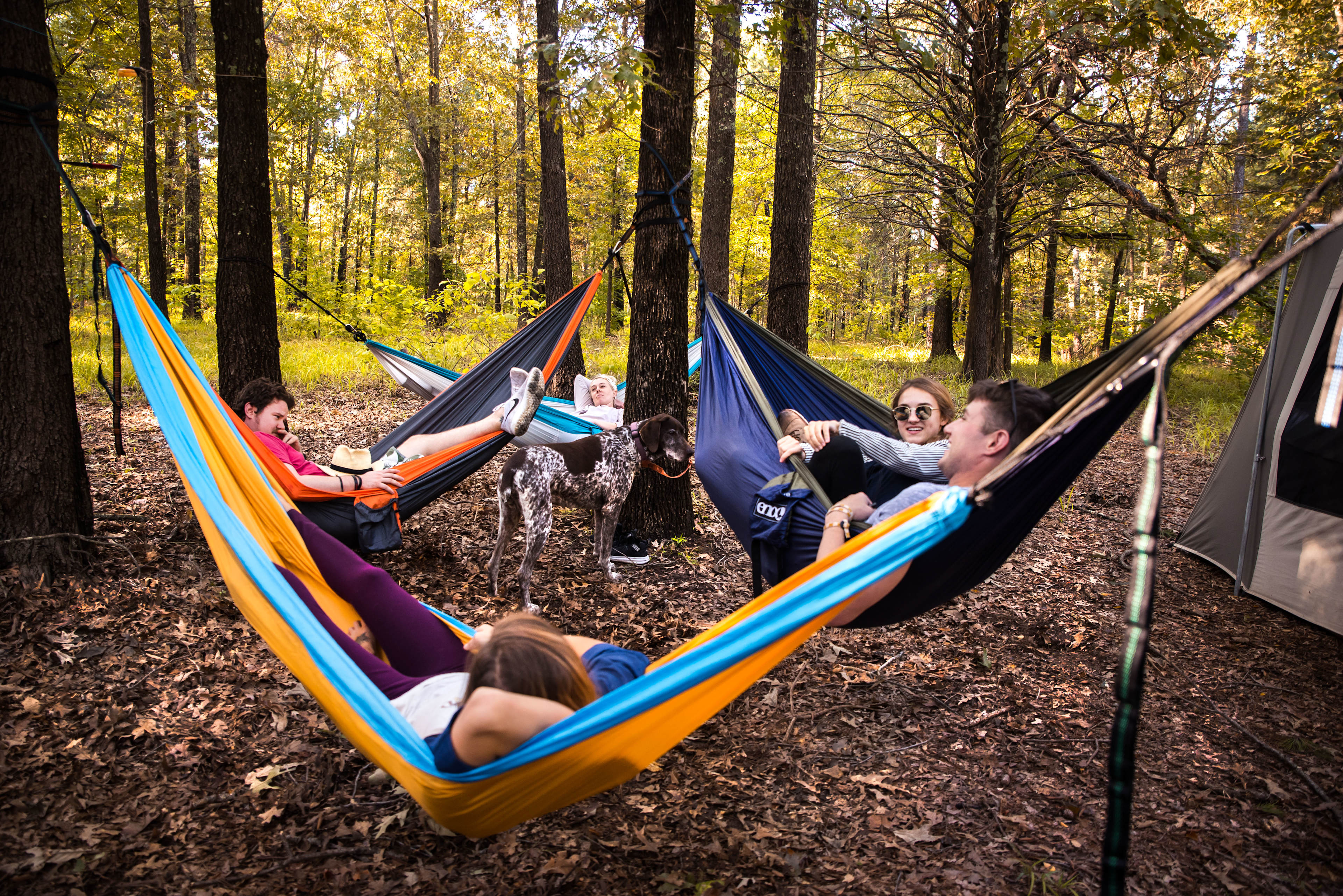 Excellent hammock trees for some great hang time!