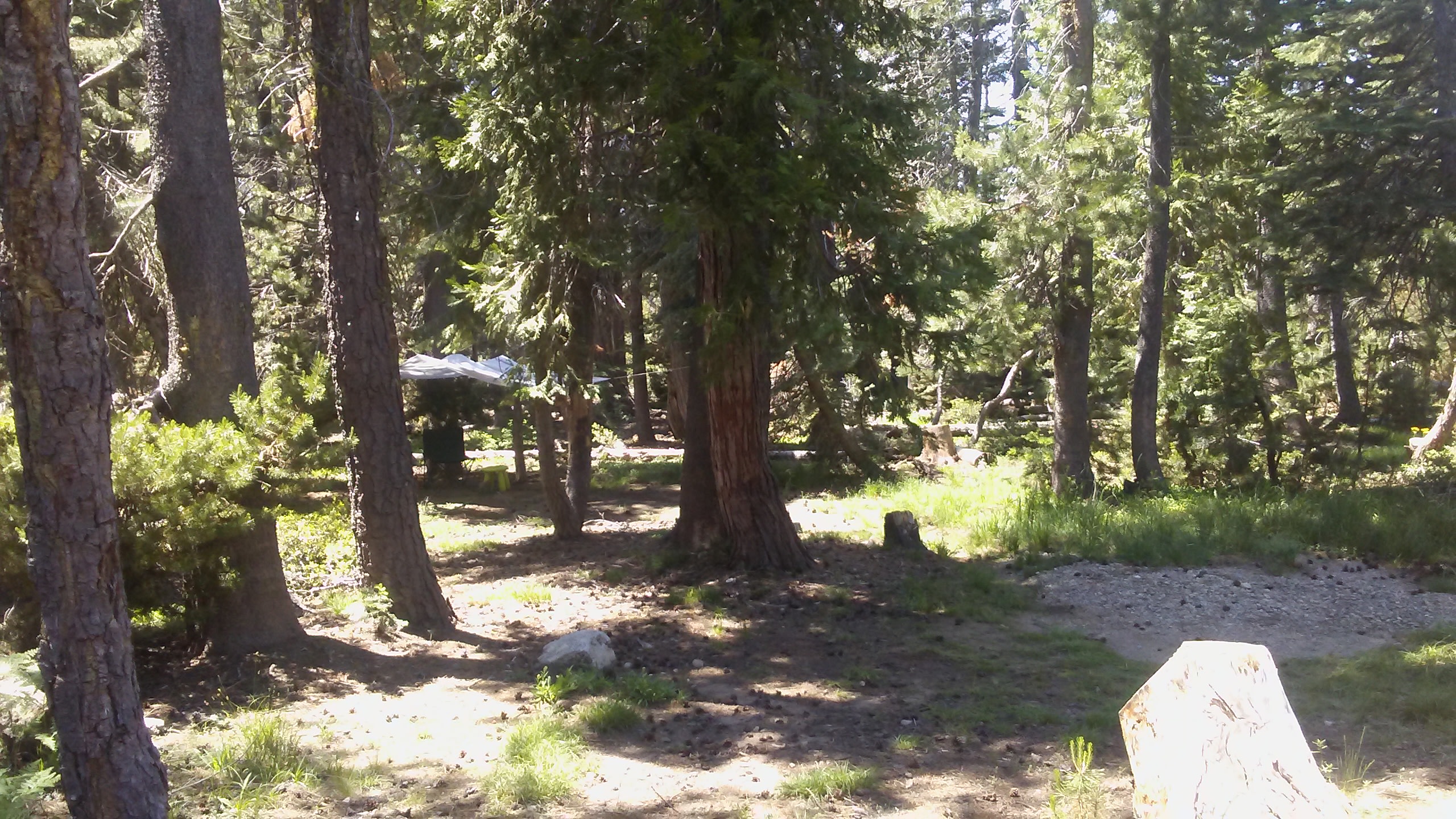 Equestrian campsite is big