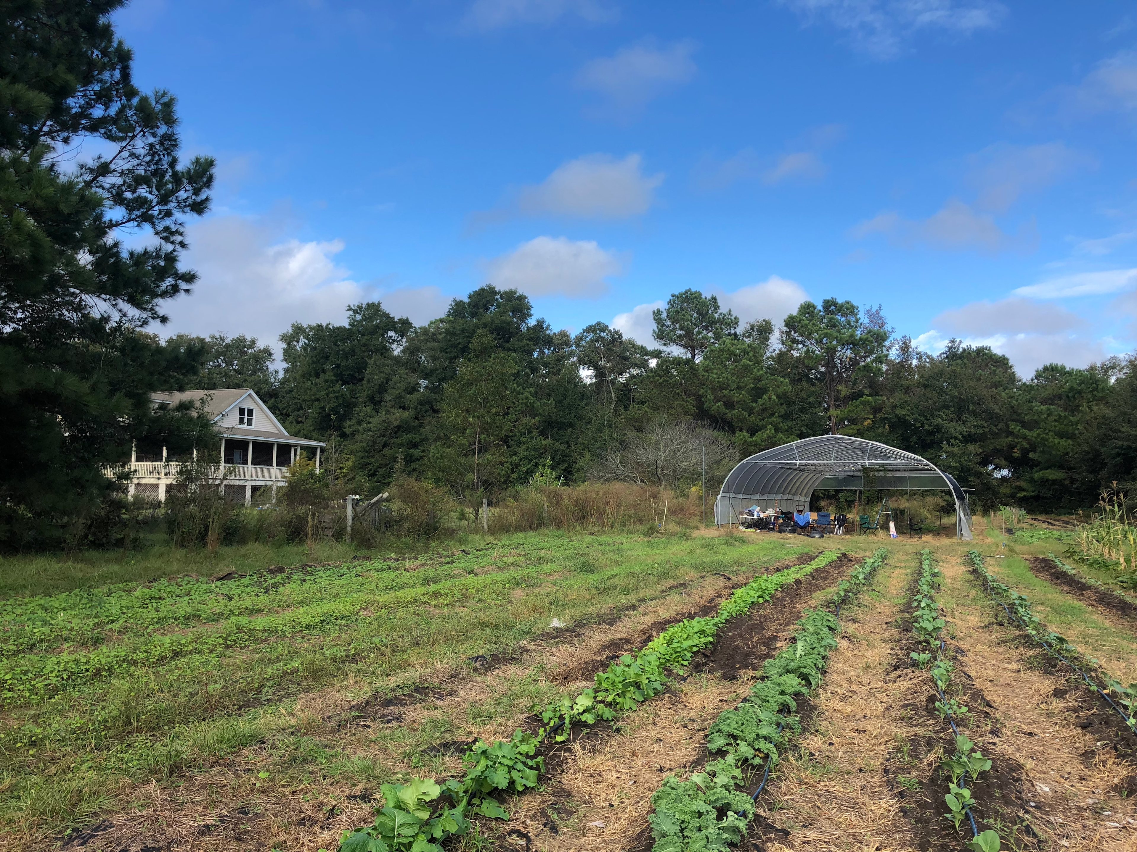 A great view from the fields