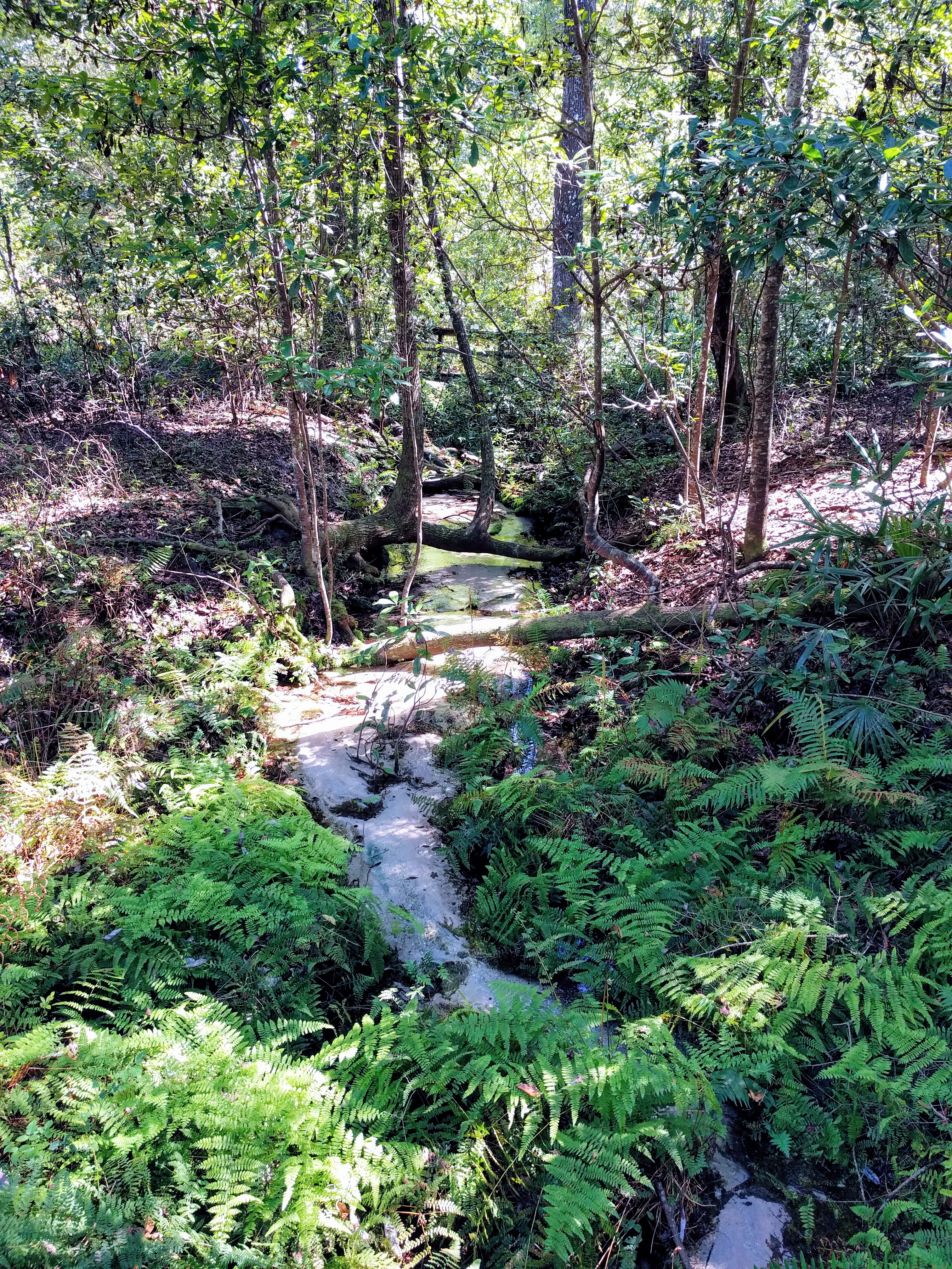 There is a bridge system and short trail around the ravine. 