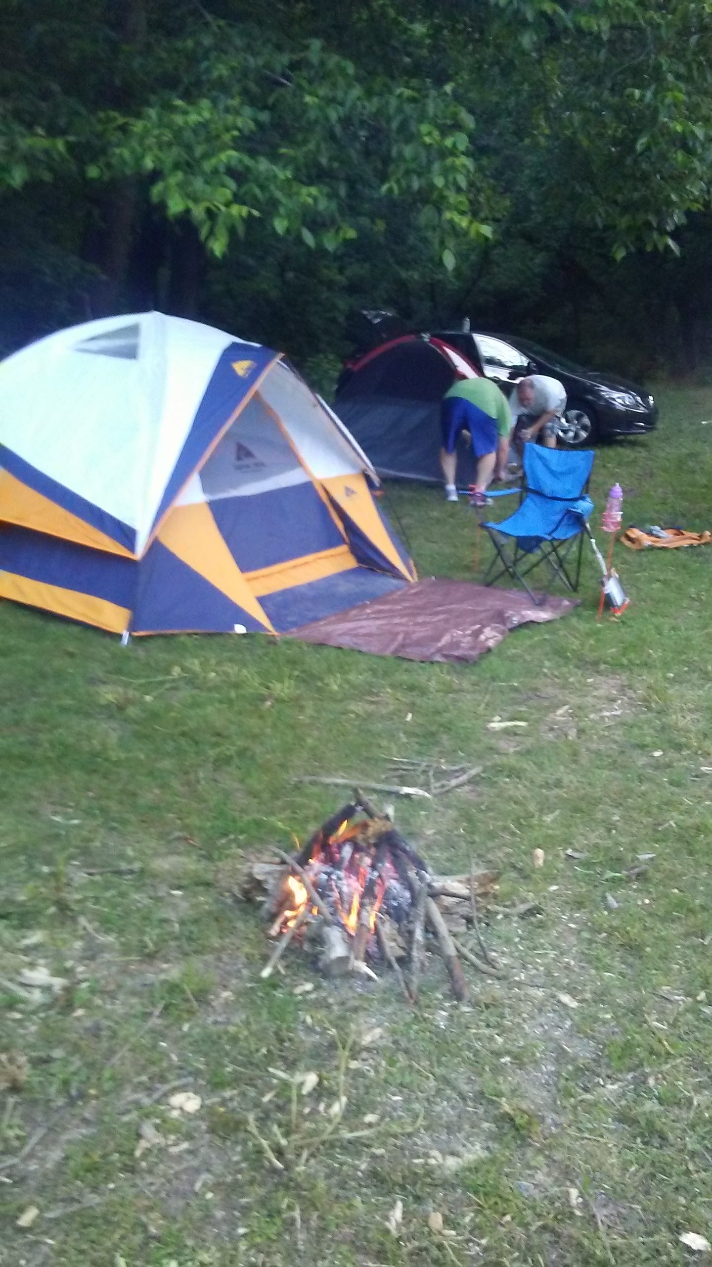 Wildcat Creek Farm in Tyrone