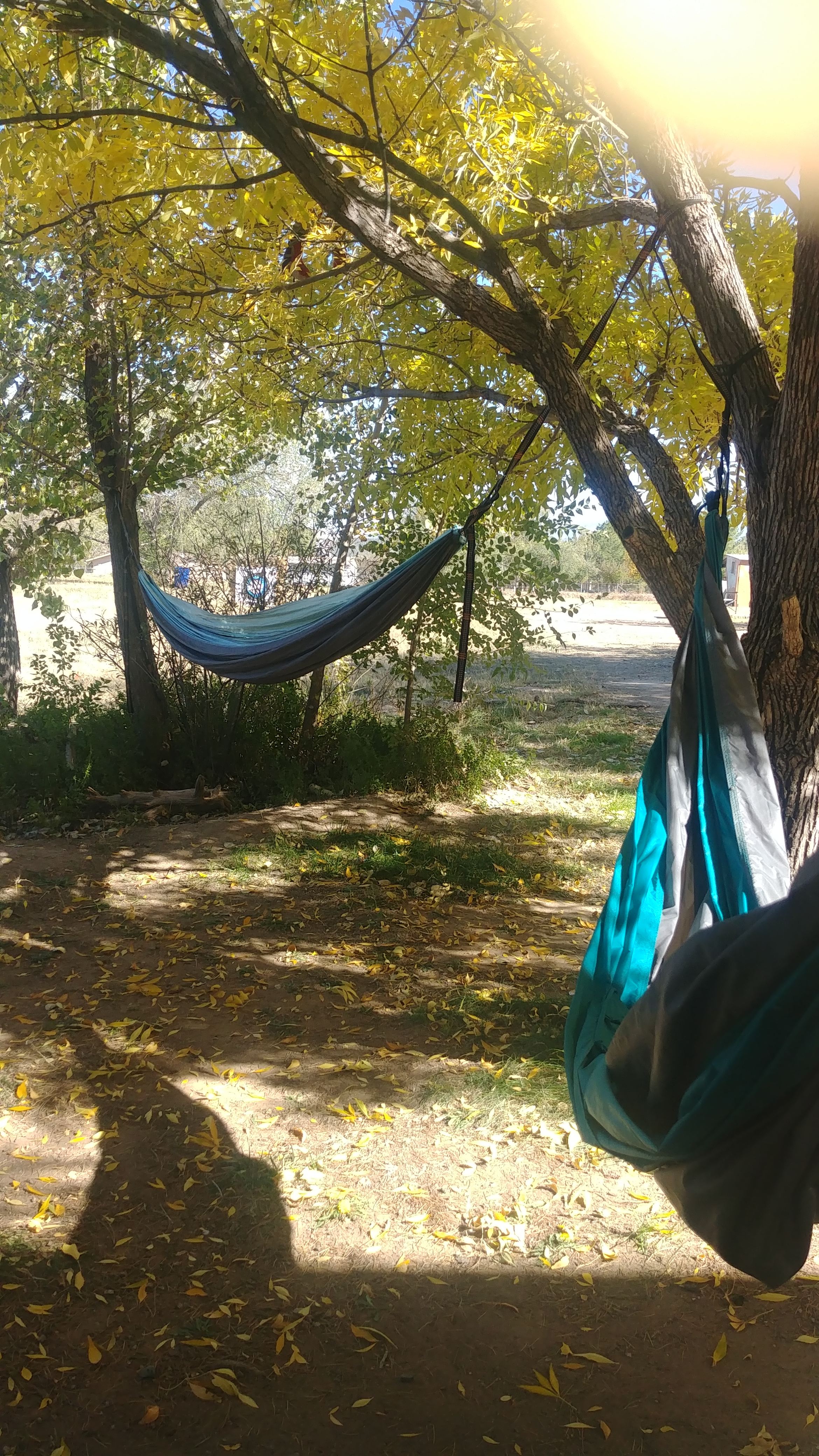 RV and Van Life Camping