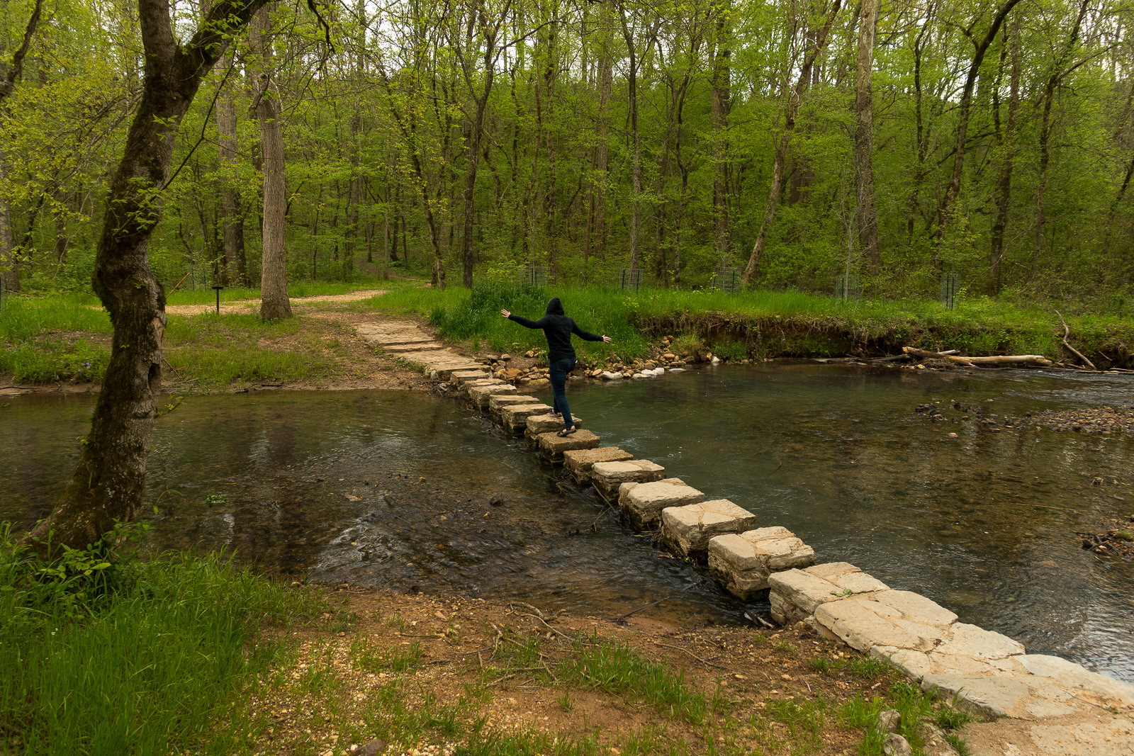 Exploring the nature walks on the Natchez Trace Parkway.