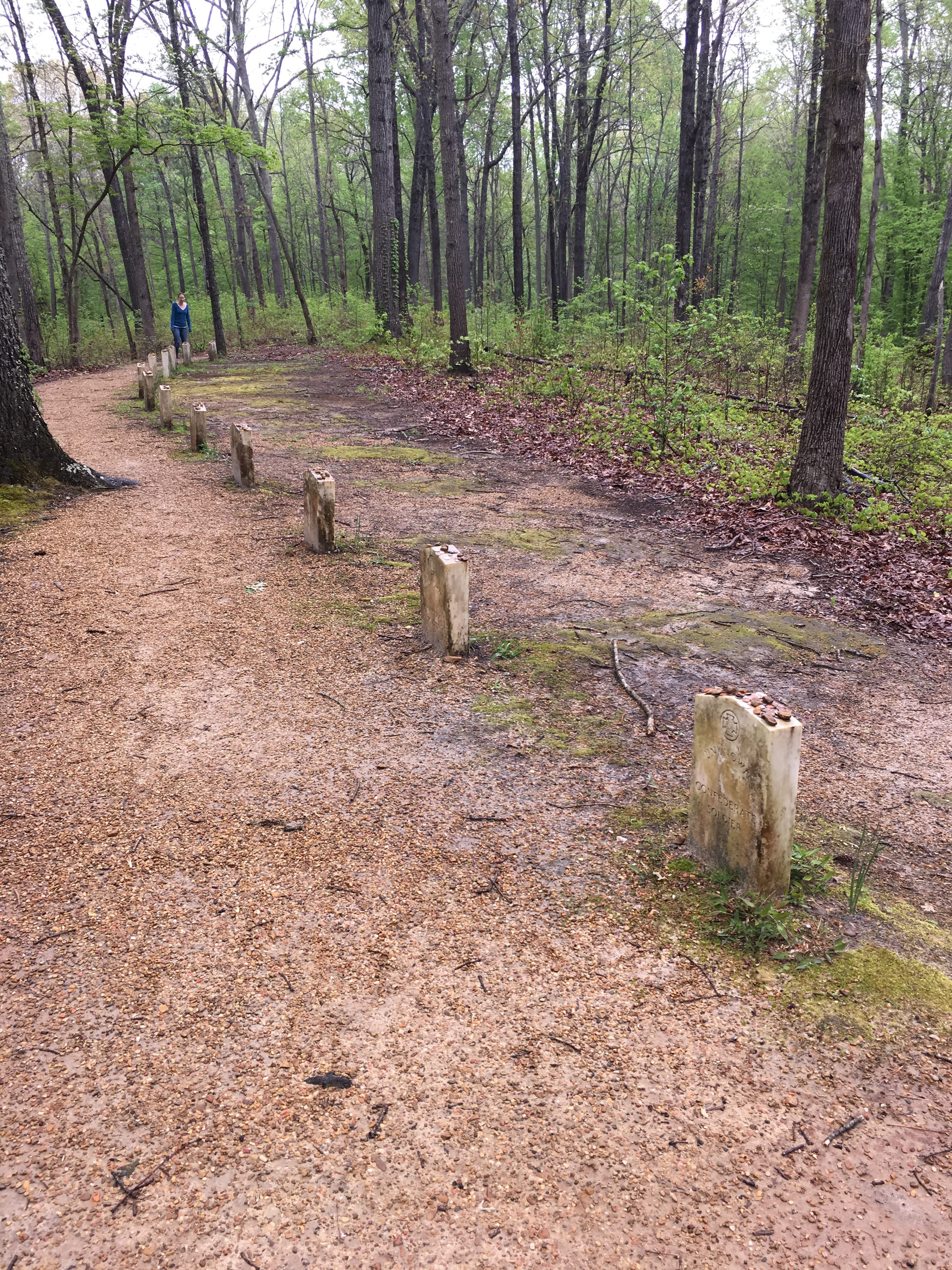 Exploring the Natchez Trace Parkway.