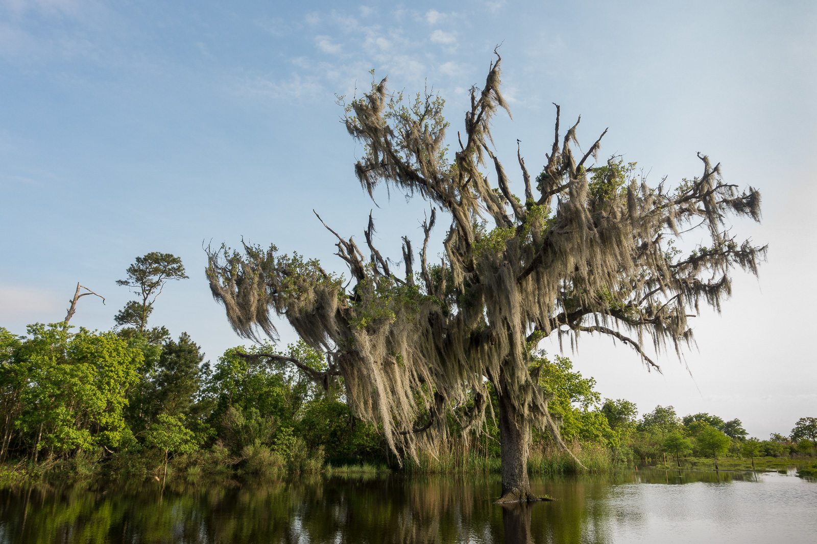 Flooding in Fontainebleau State Park.