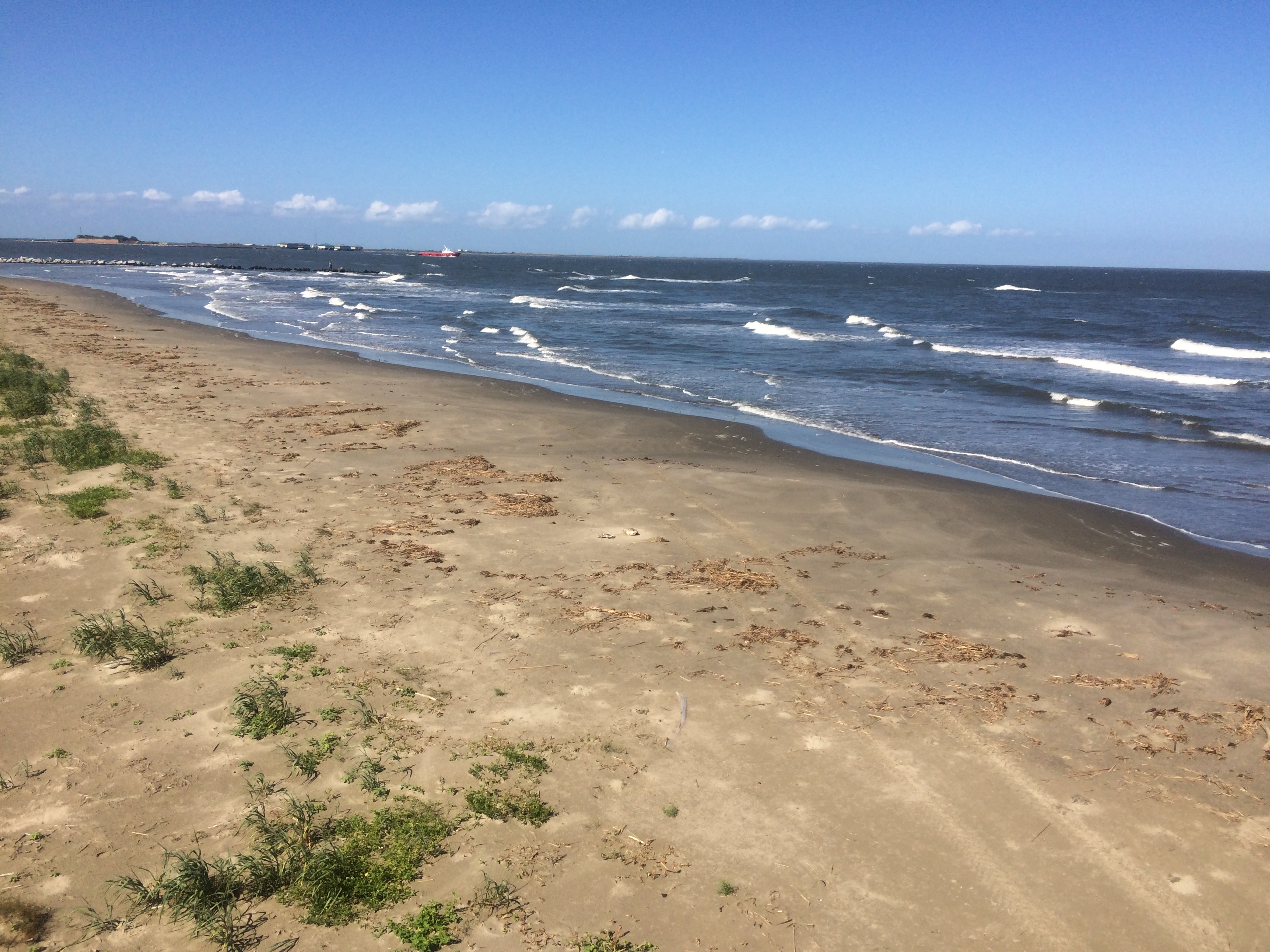The beach at Grand Isle State Park campground.