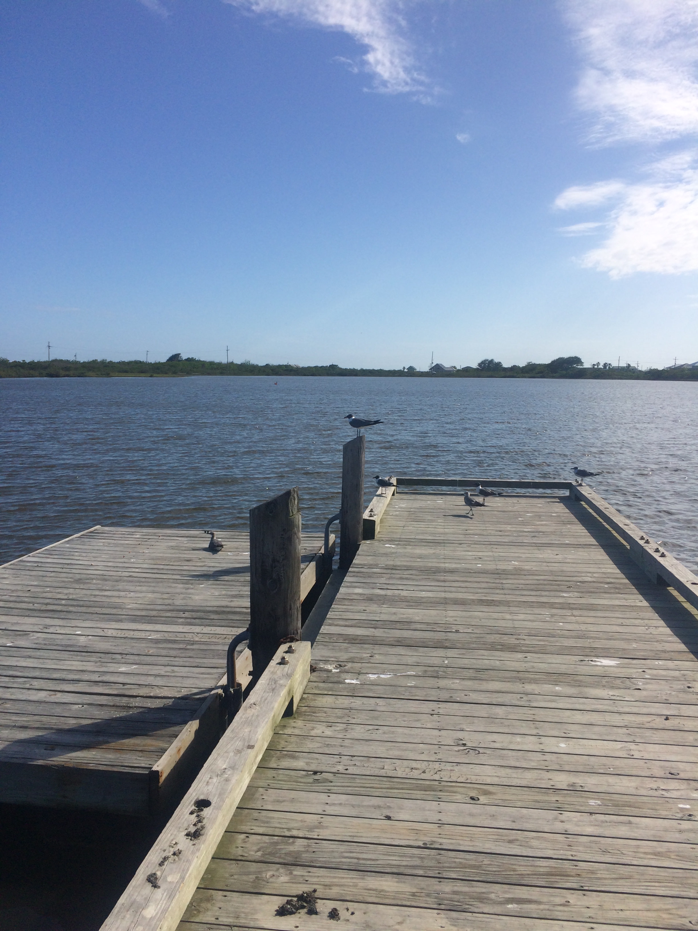 A lagoon opposite the Grand Isle State Park campground.