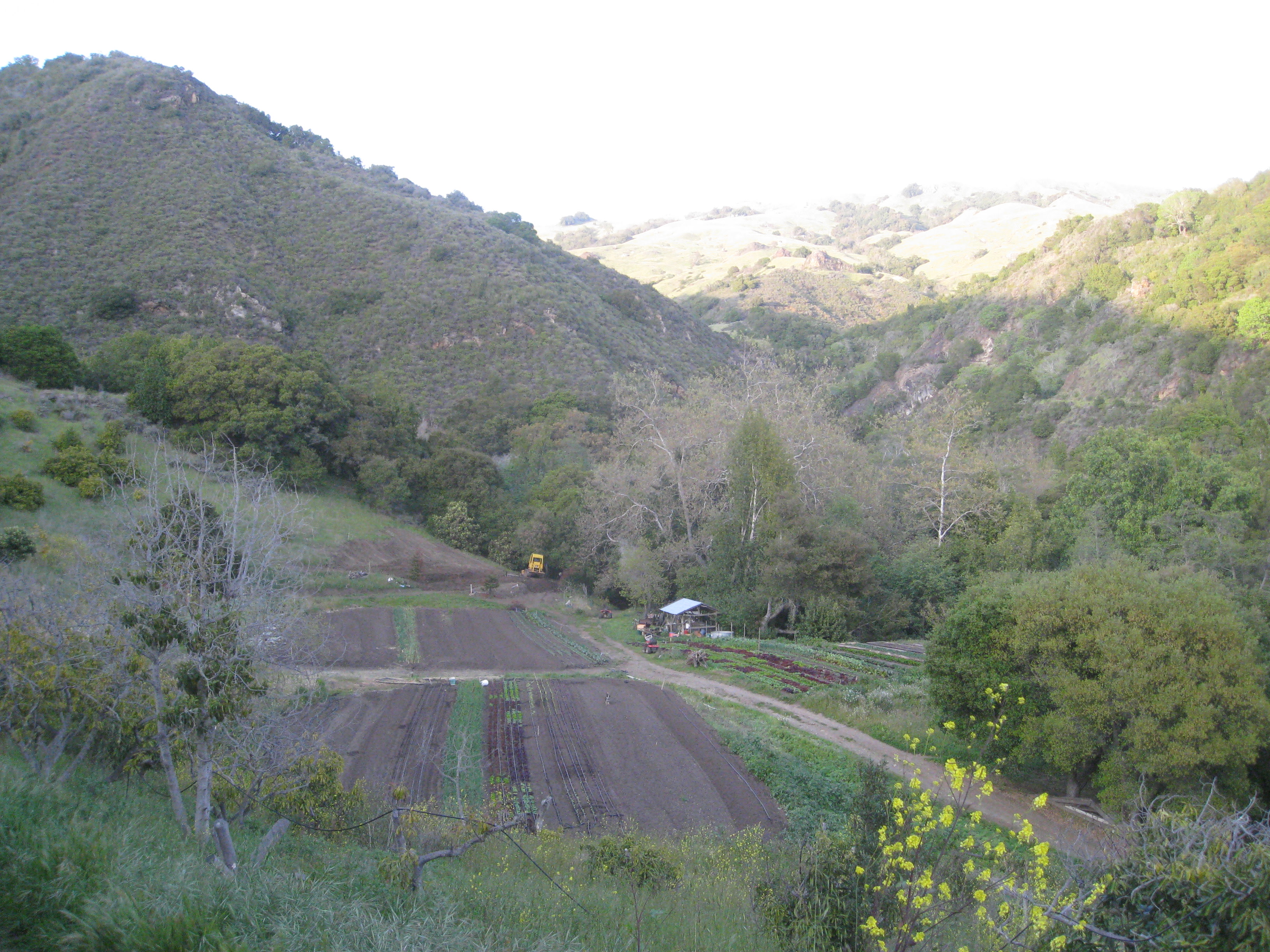 Creekside Camping and Mineral Baths
