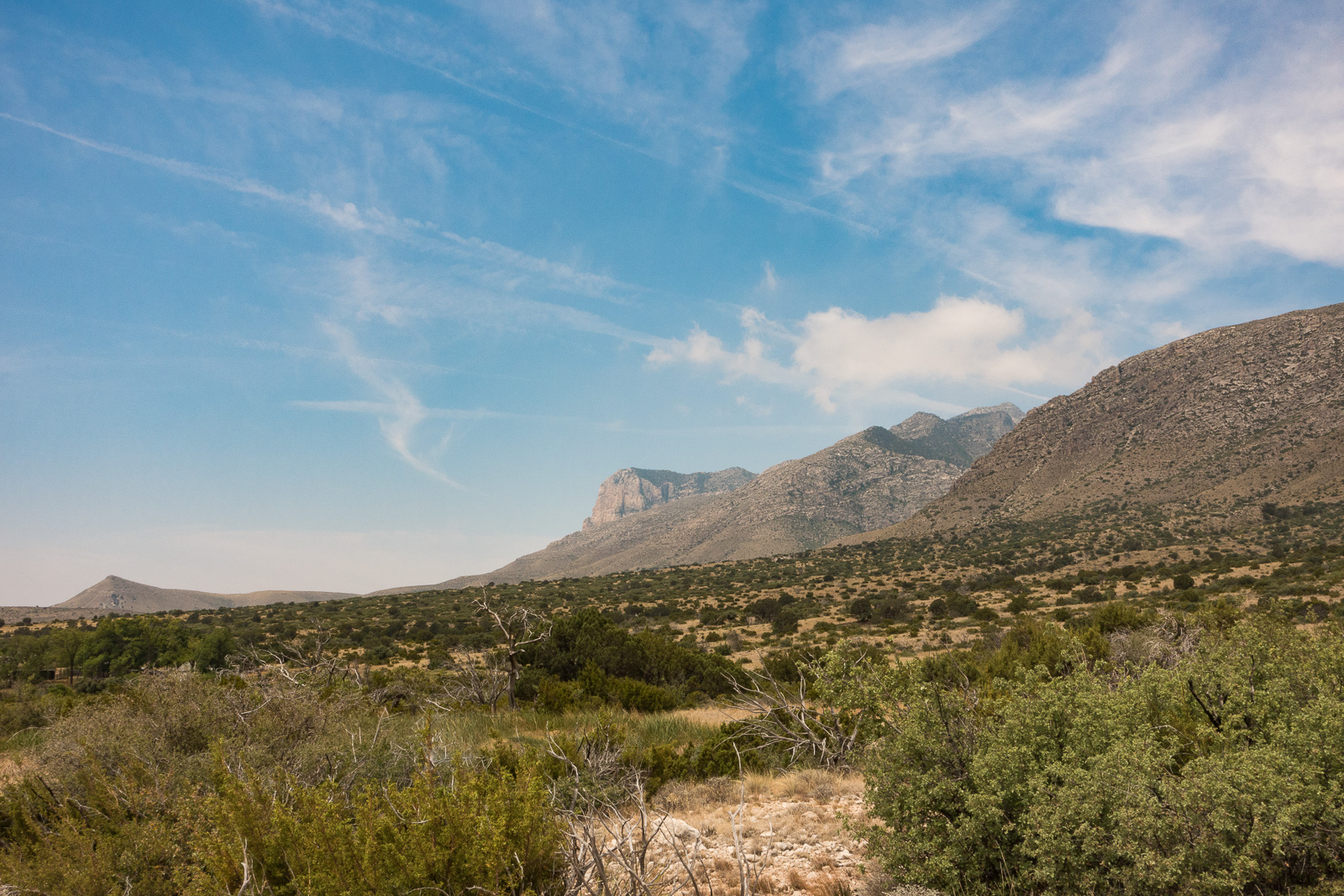 View from the Smith Springs hike (2.3 miles round-trip) - it begins in a desert landscape and continues up through pine forests and a natural spring. Overall, the hike was more enjoyable than anticipated.