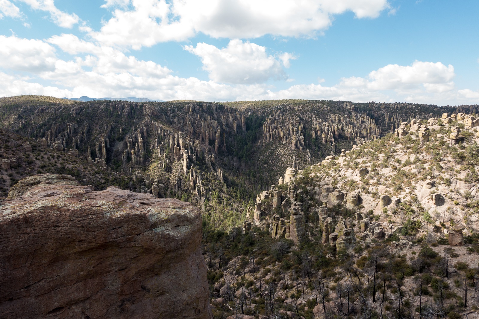 Views from Massai Point at the end of the scenic drive.