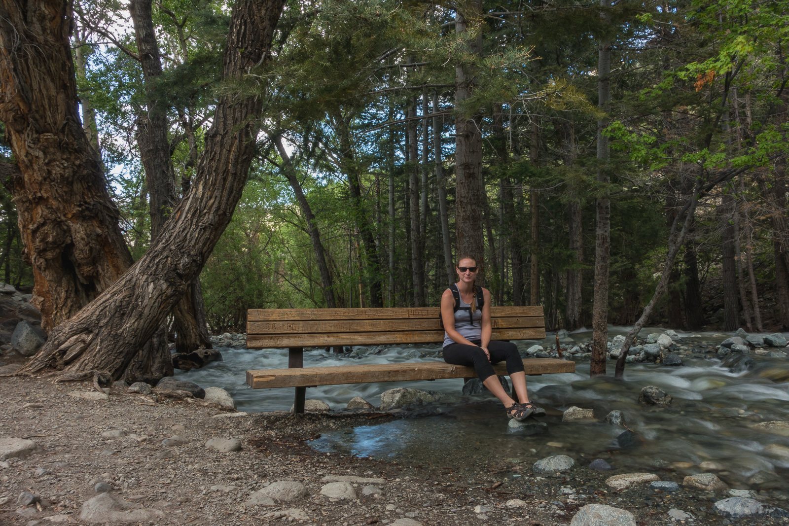 Hike to Zapata Creek in Zapata Falls Recreation Area (a 3.5 mile drive up a rough road).