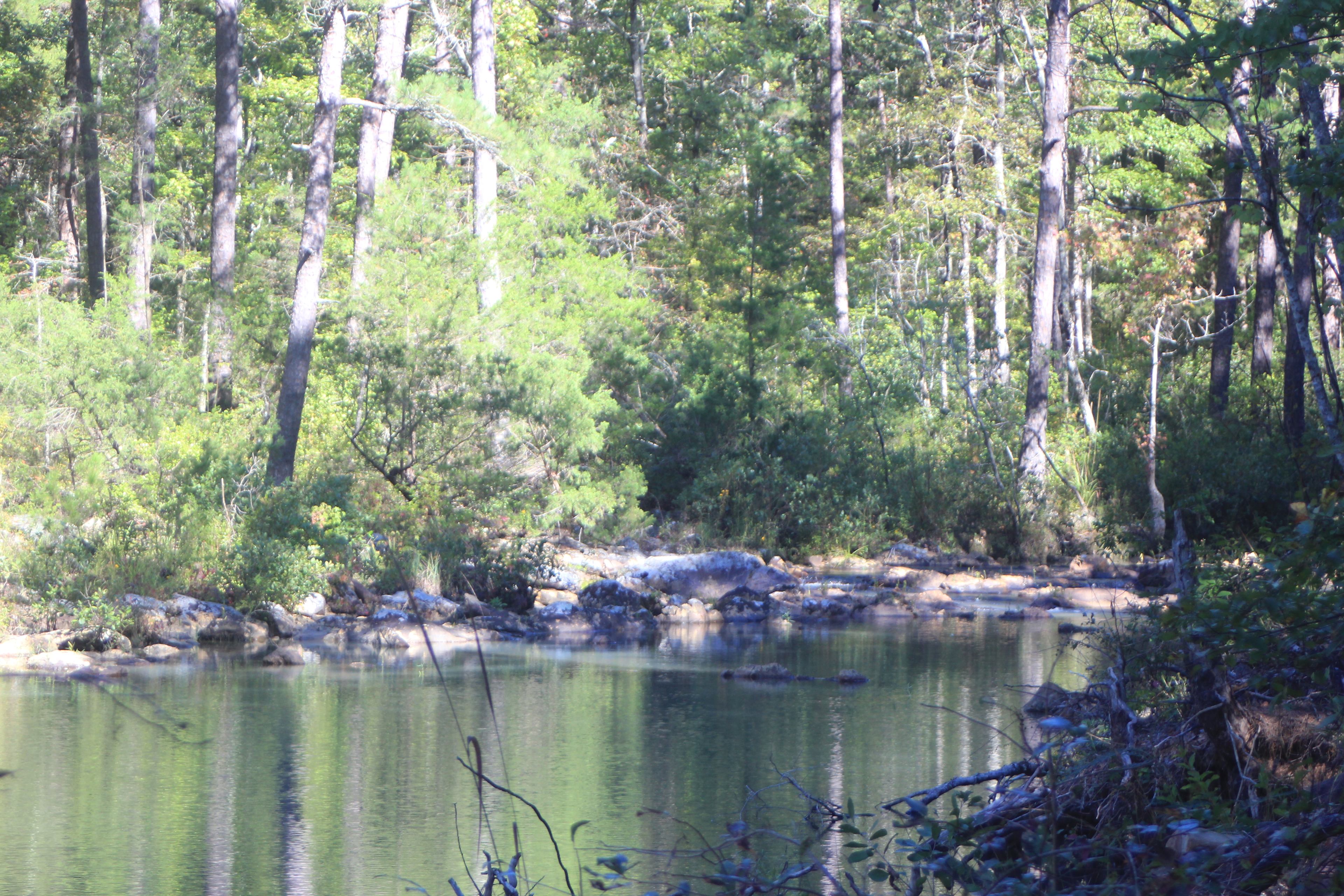 Ouachita National Forest