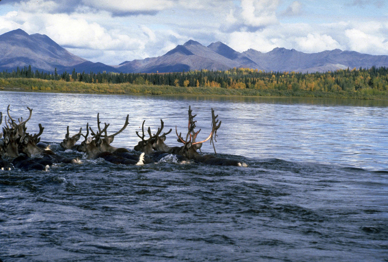 Kobuk Valley National Park