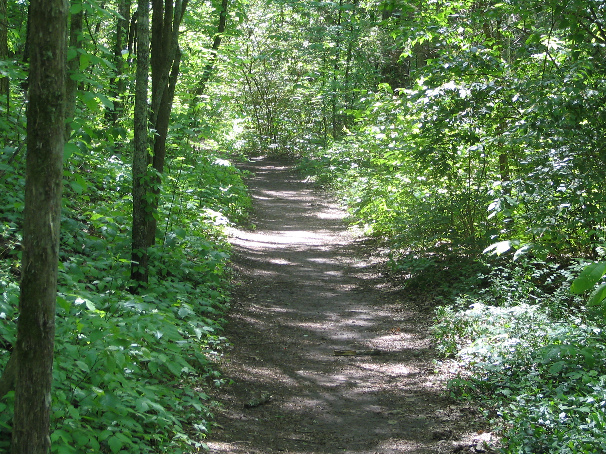 Natchez Trace National Scenic Trail