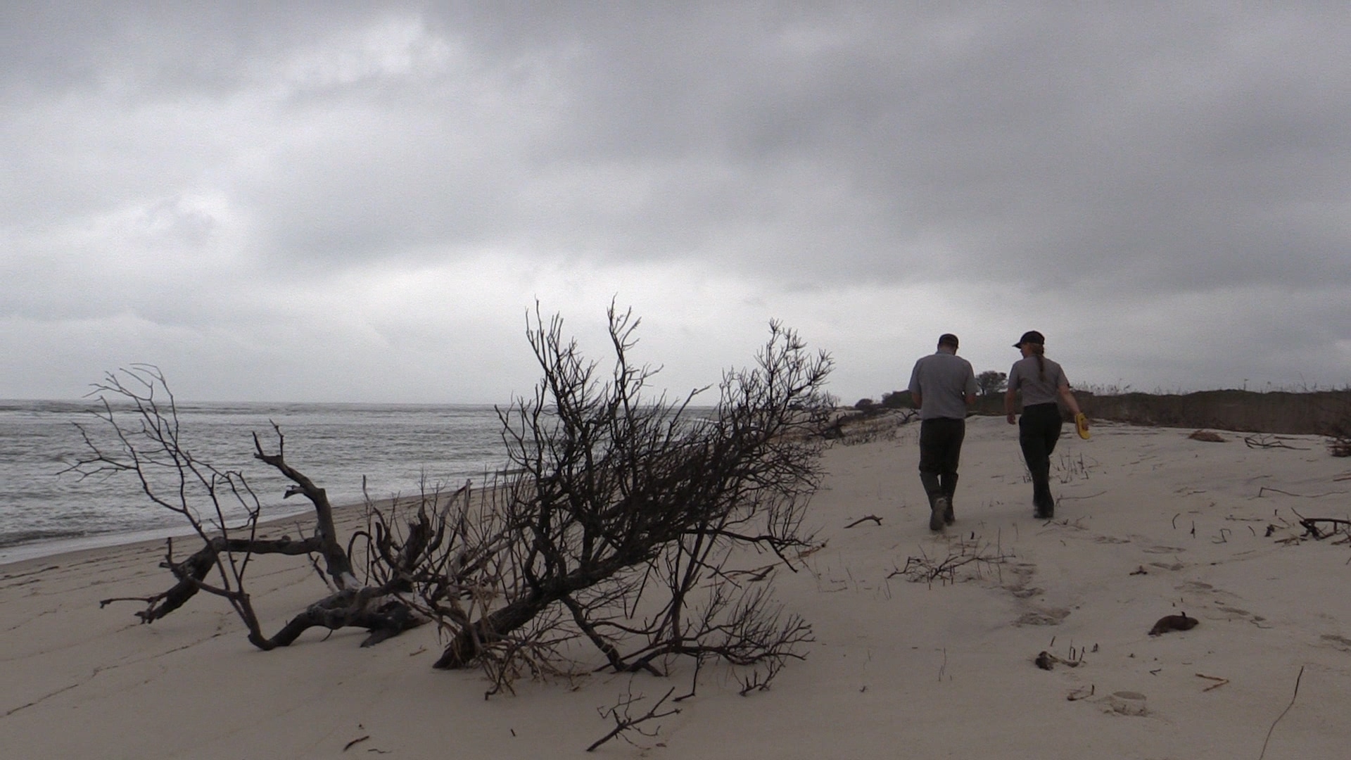 Fire Island National Seashore