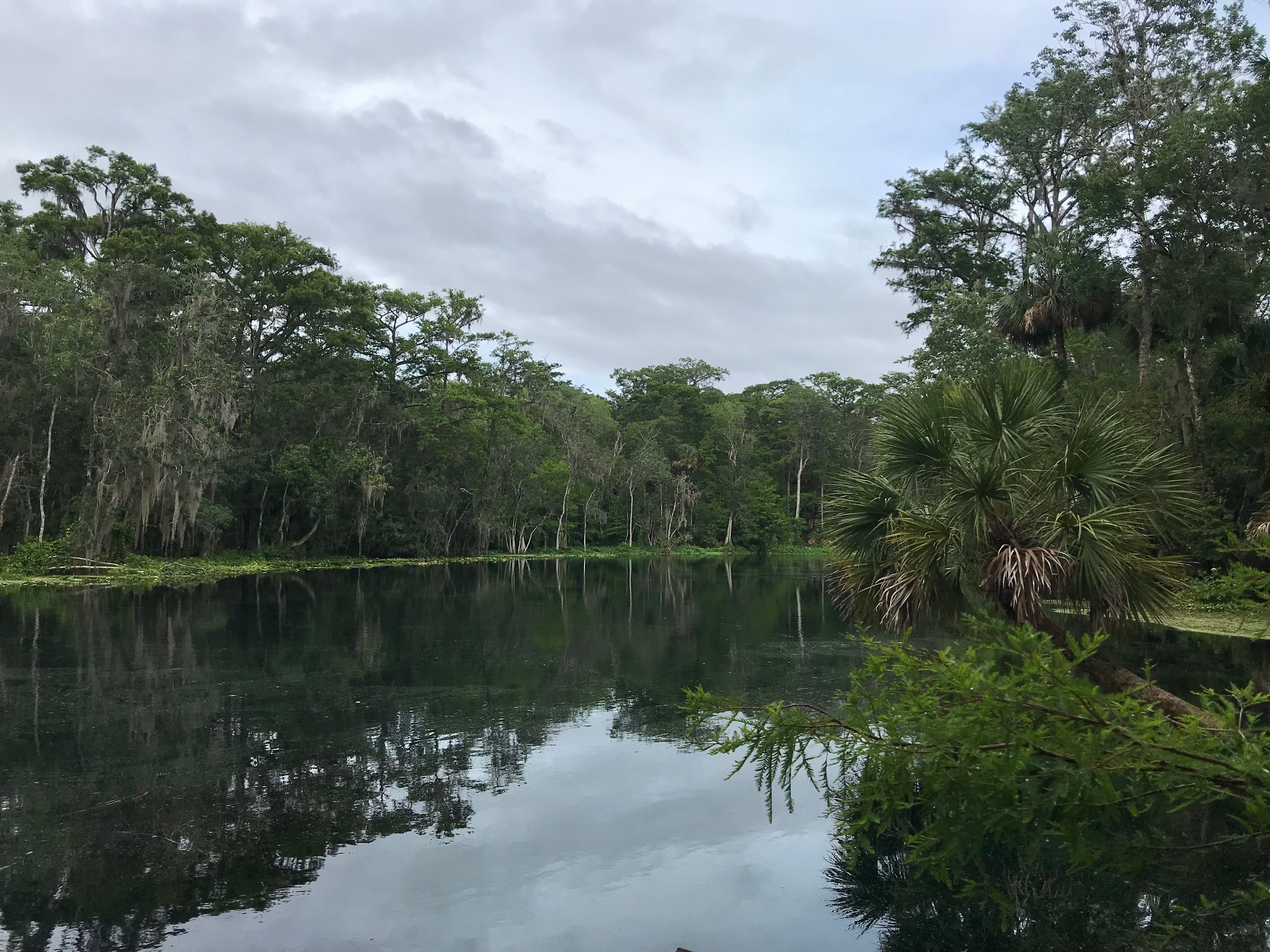 Out into the cool springs 