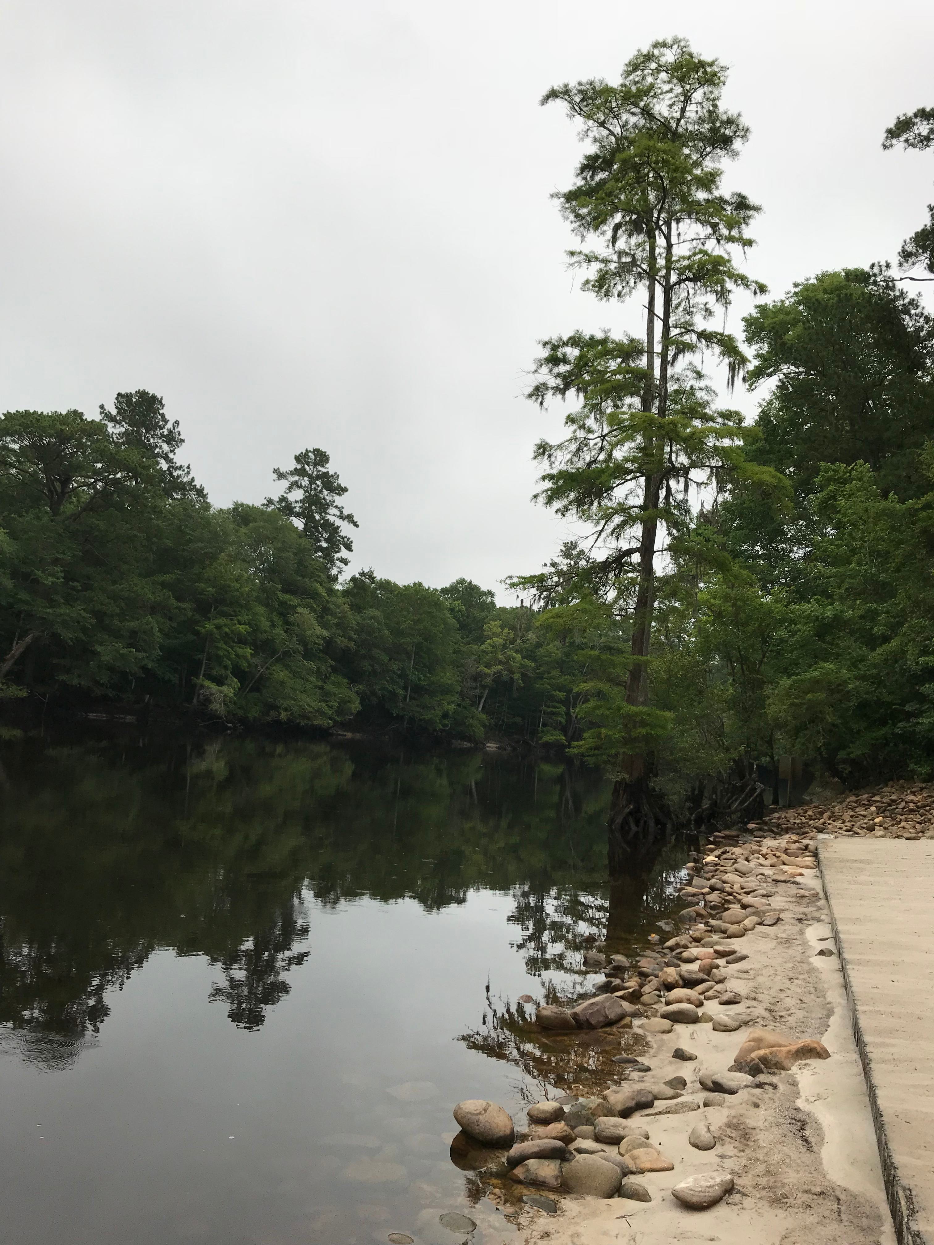 Looking out at the water 