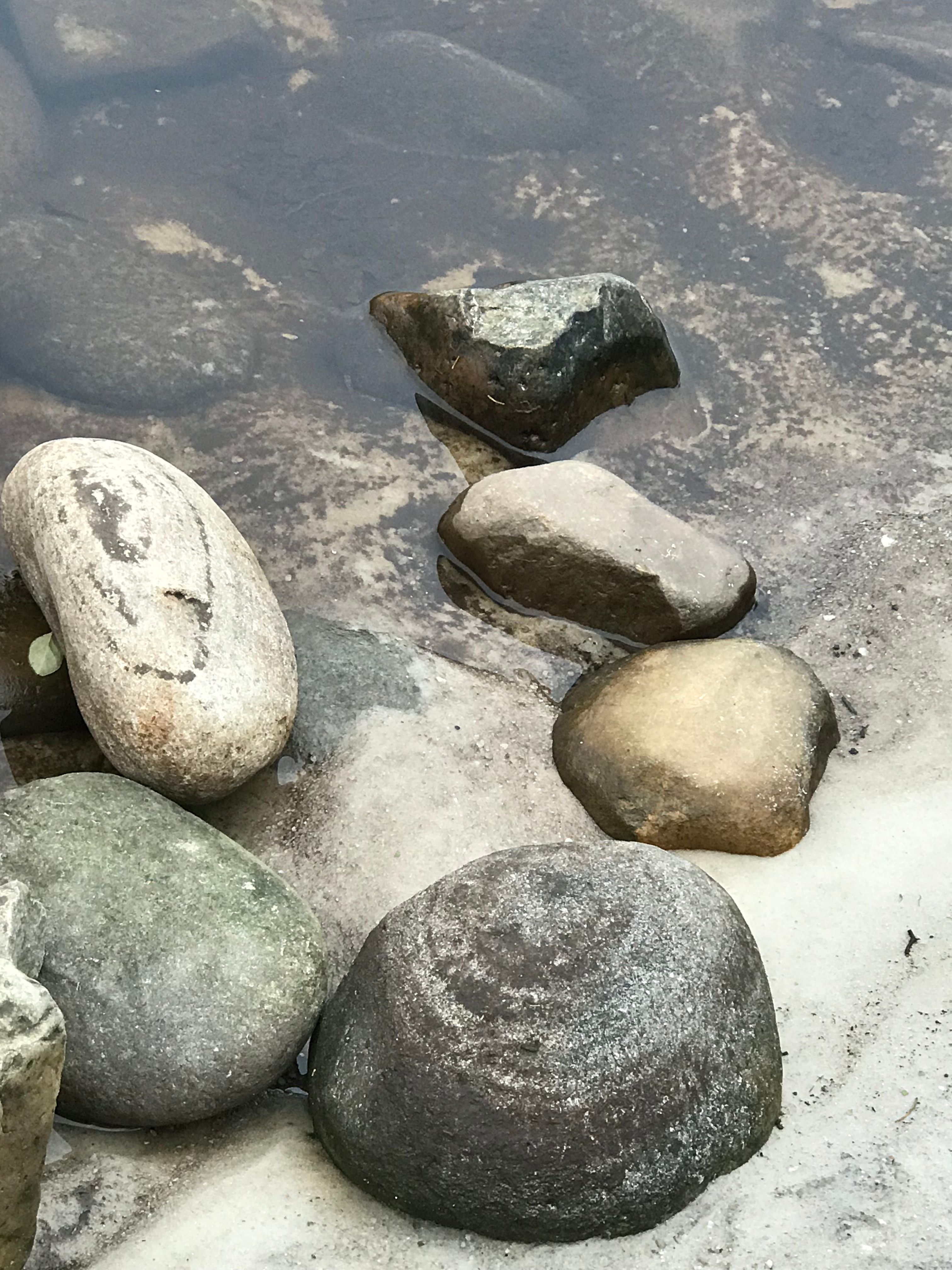 Variety of beautiful rocks 