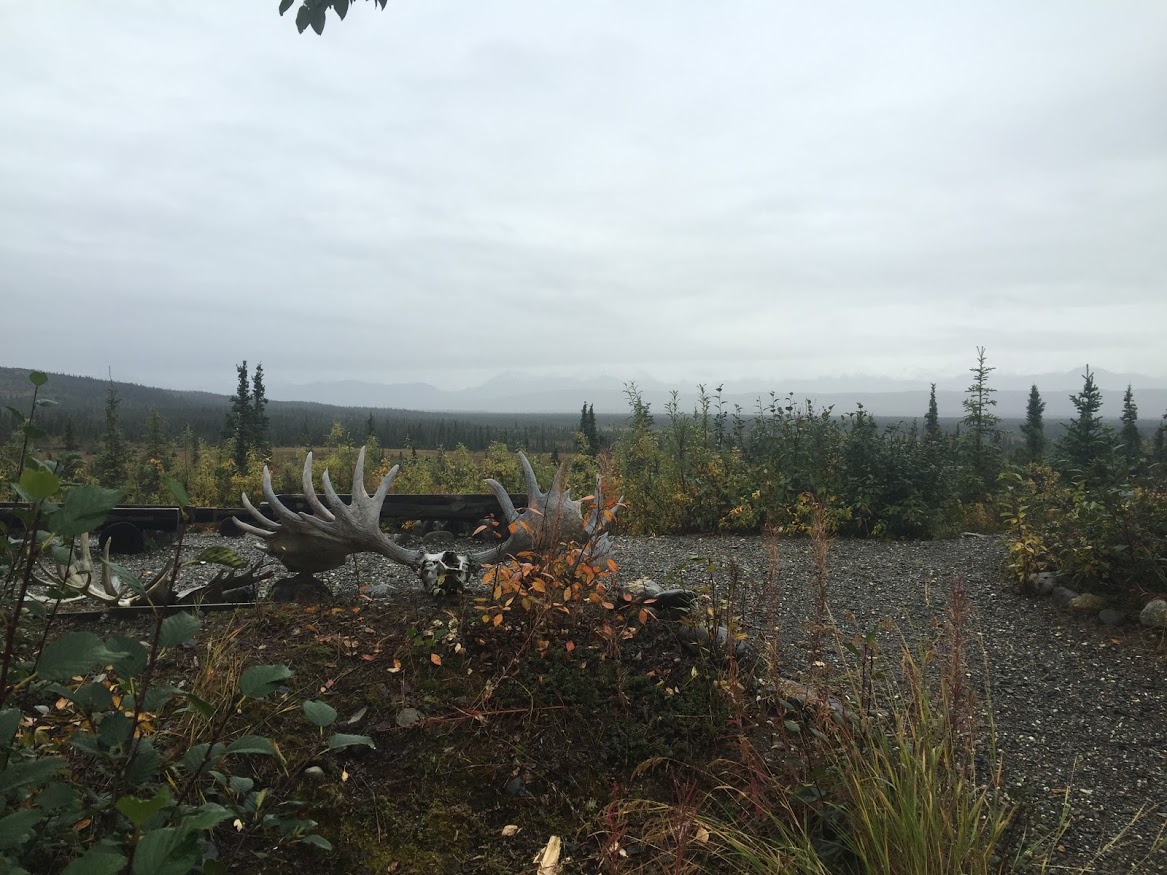 Amphitheater where they have ranger program