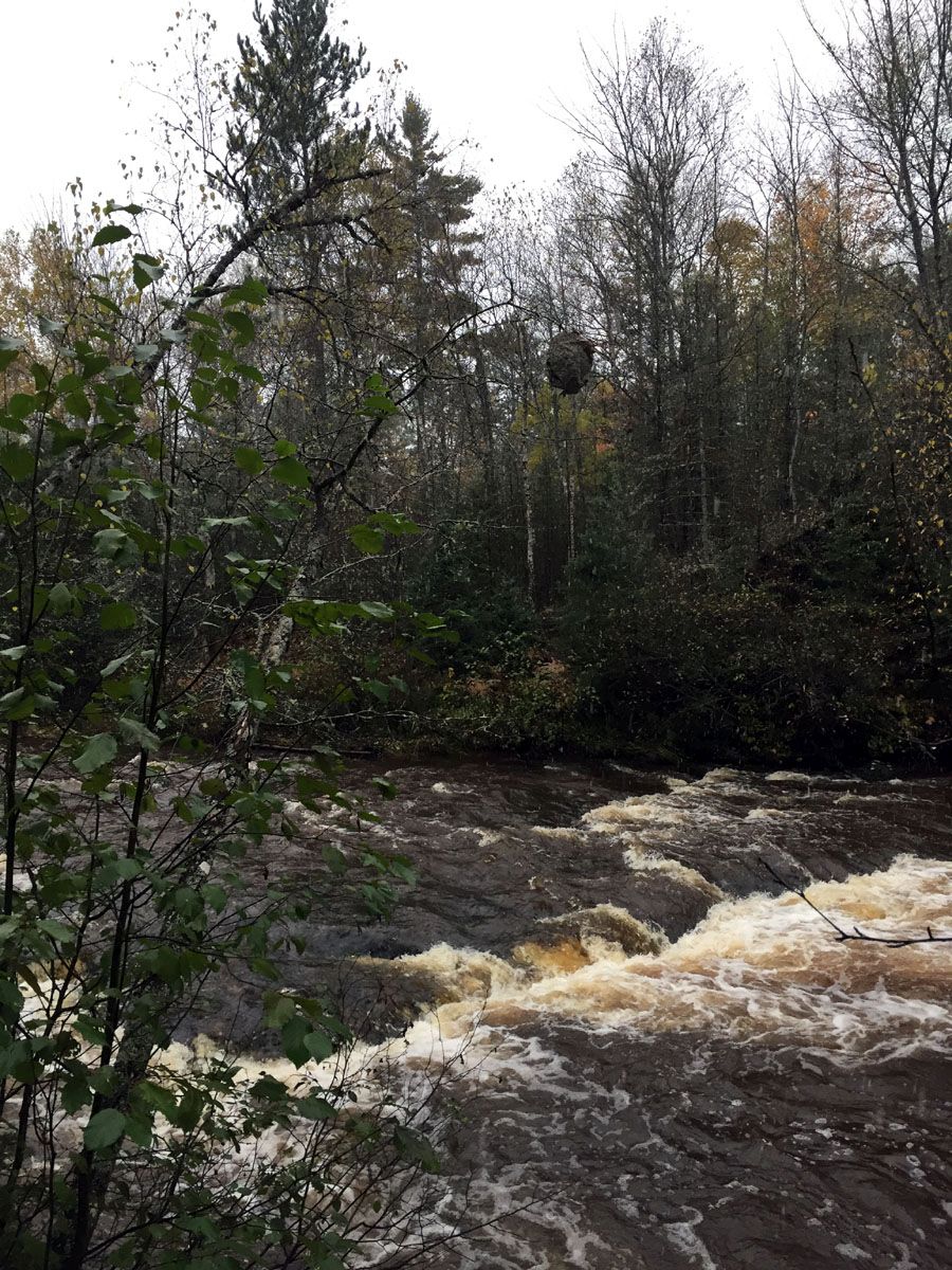 The rapids a few hundred feet down from the campground
