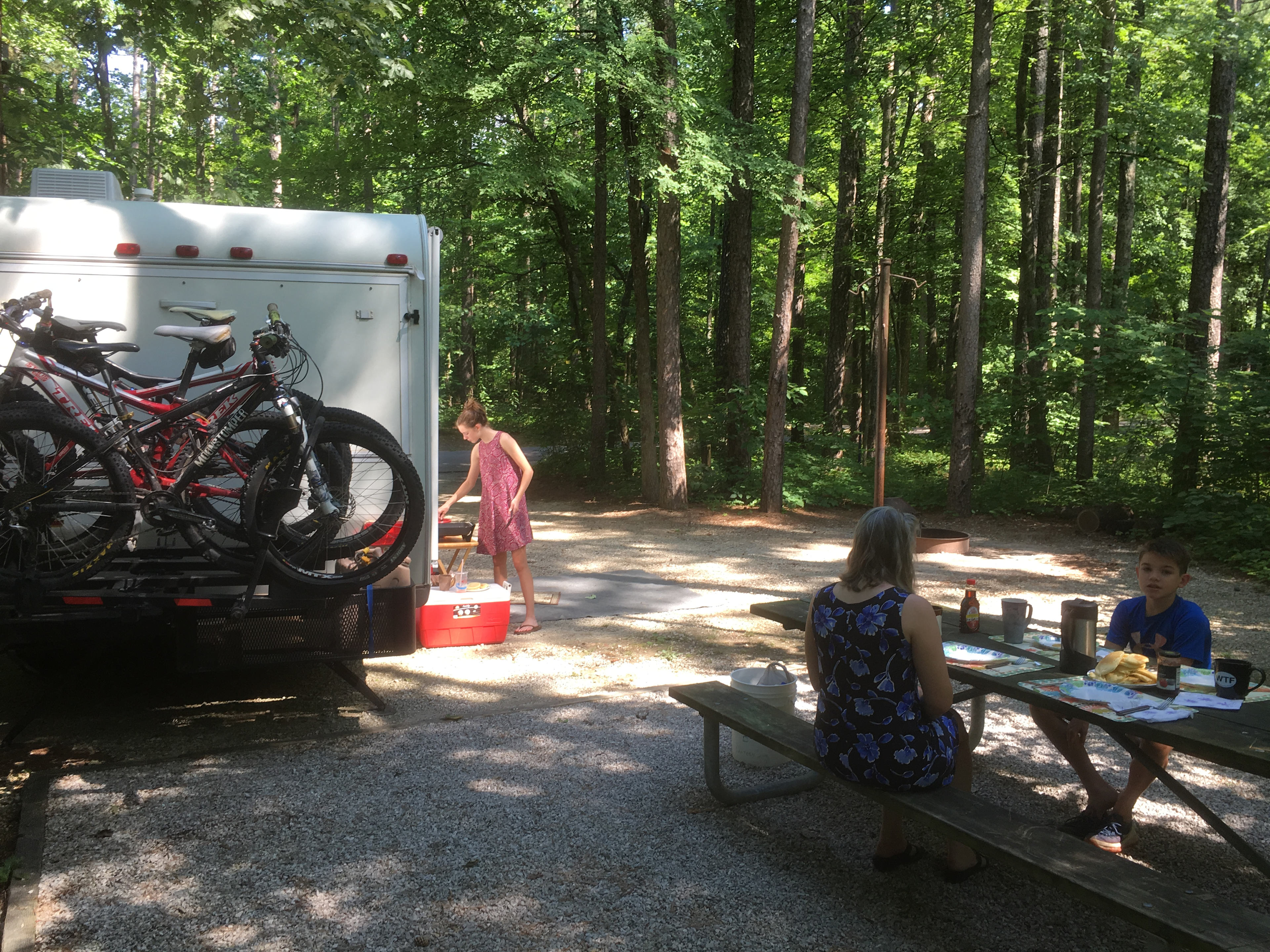 Wonderful privacy, beautiful shade!