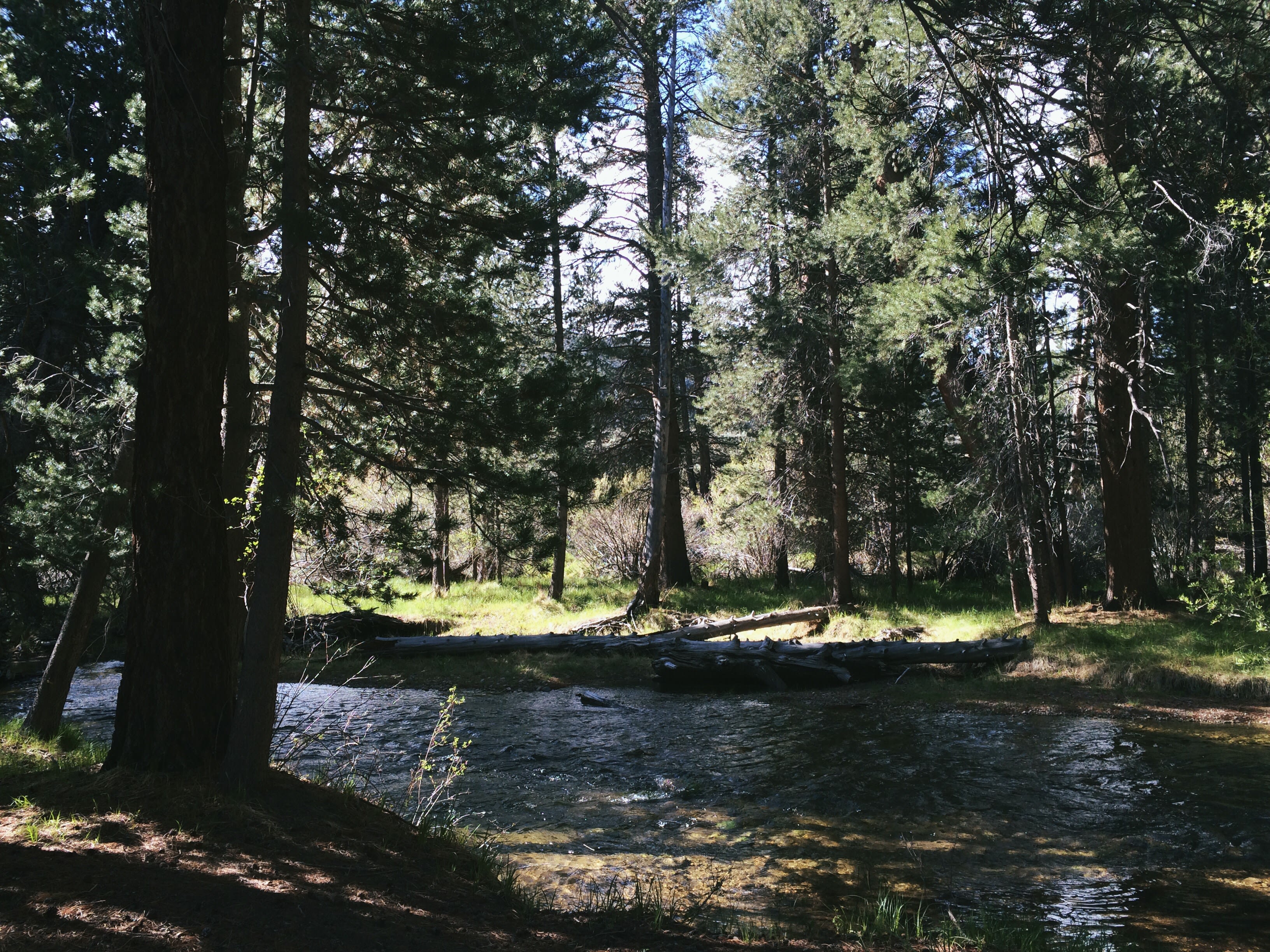 The river that goes through the campground is quite calming