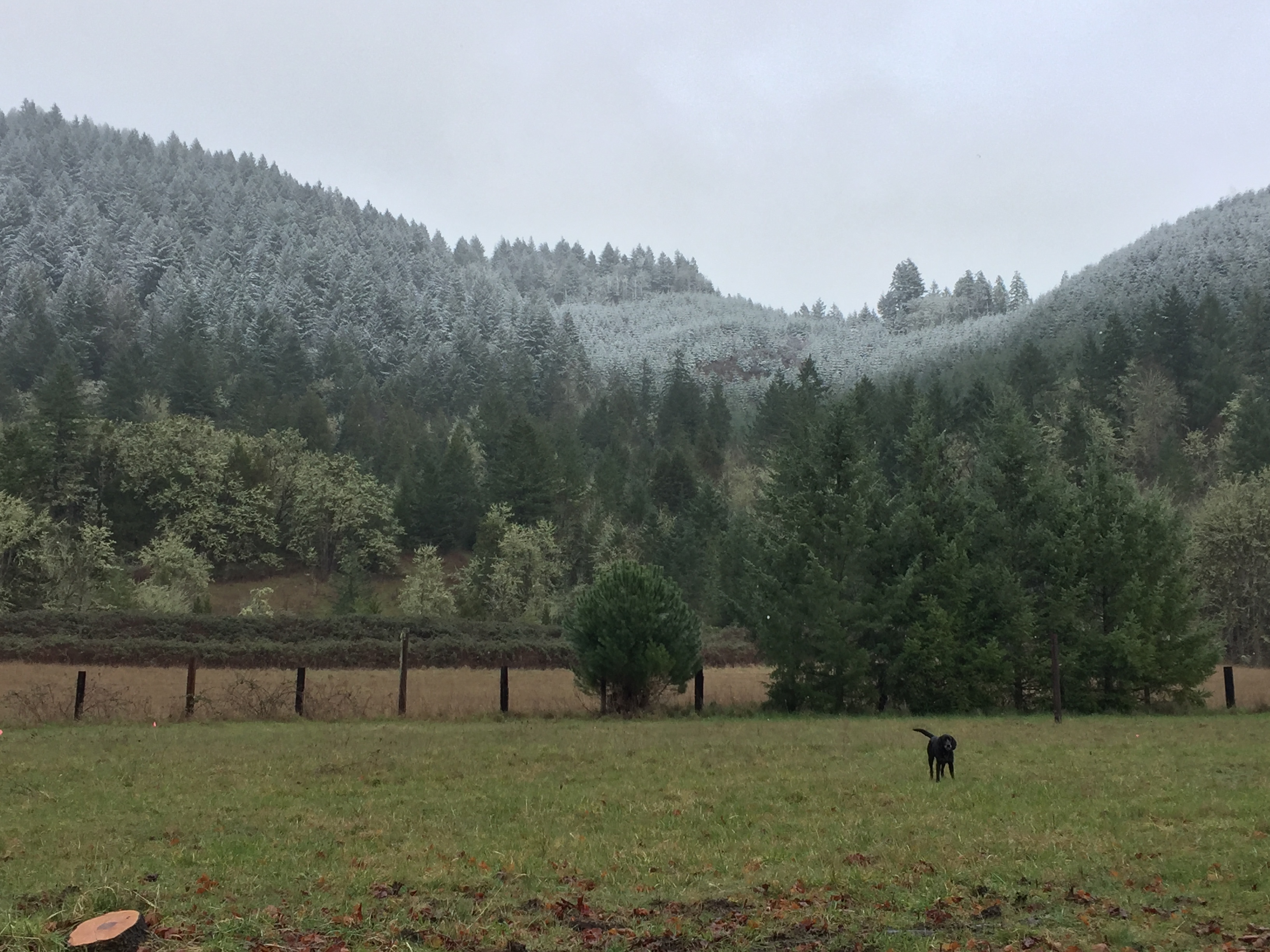 Teeter Creek Farm