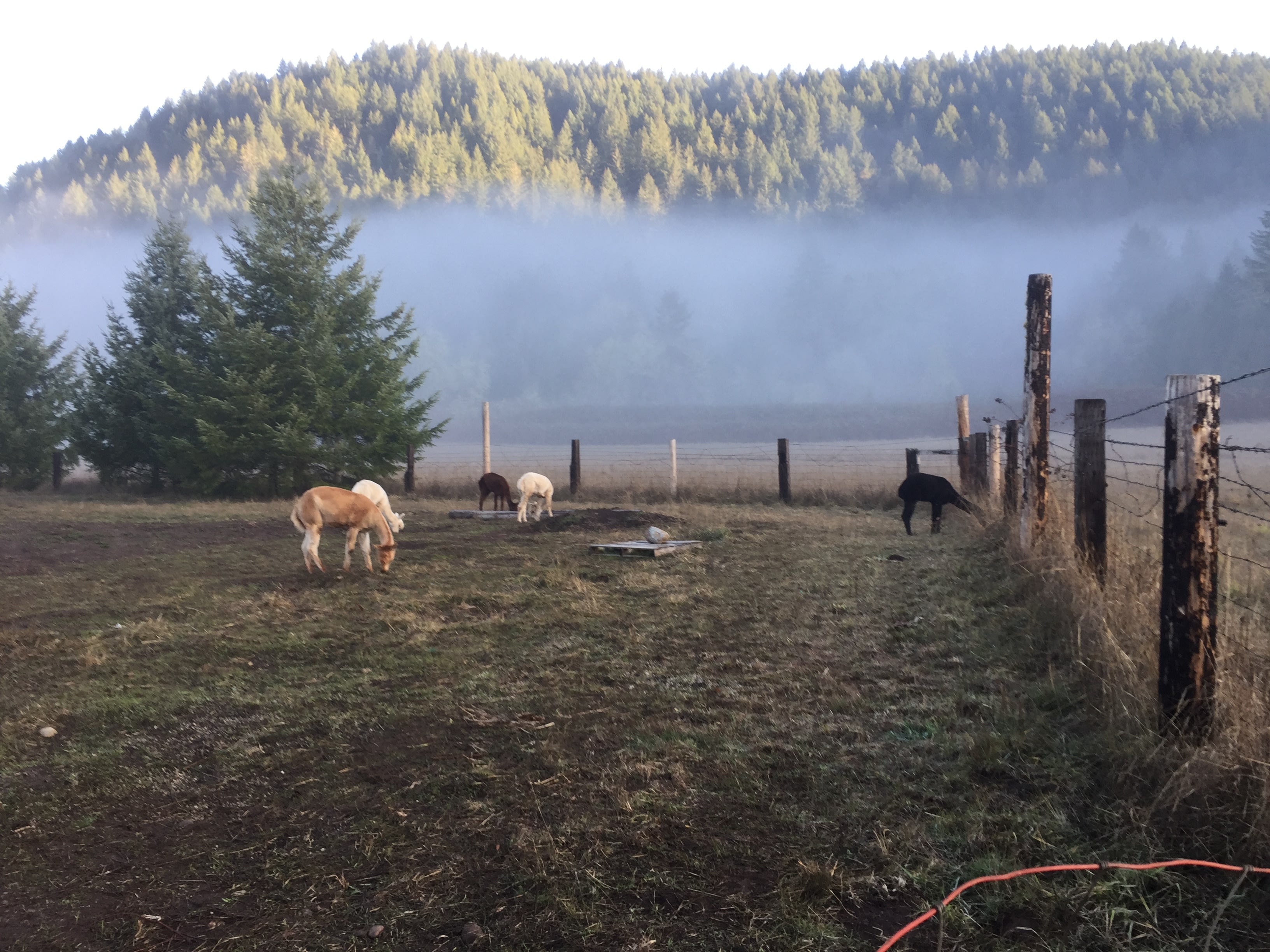 Teeter Creek Farm