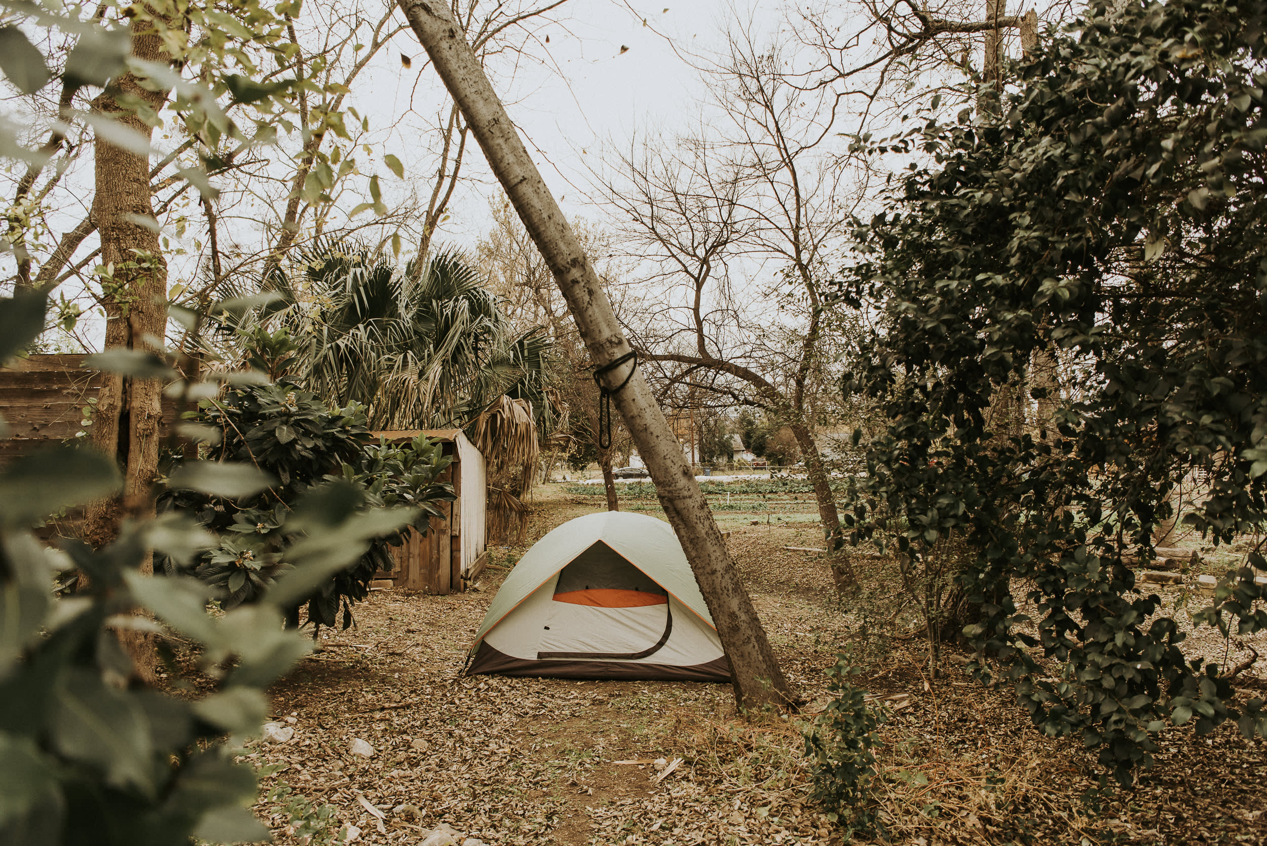 The campsite is tucked by the fence next to the farmhouse. There's enough space for one large tent or two small tents.