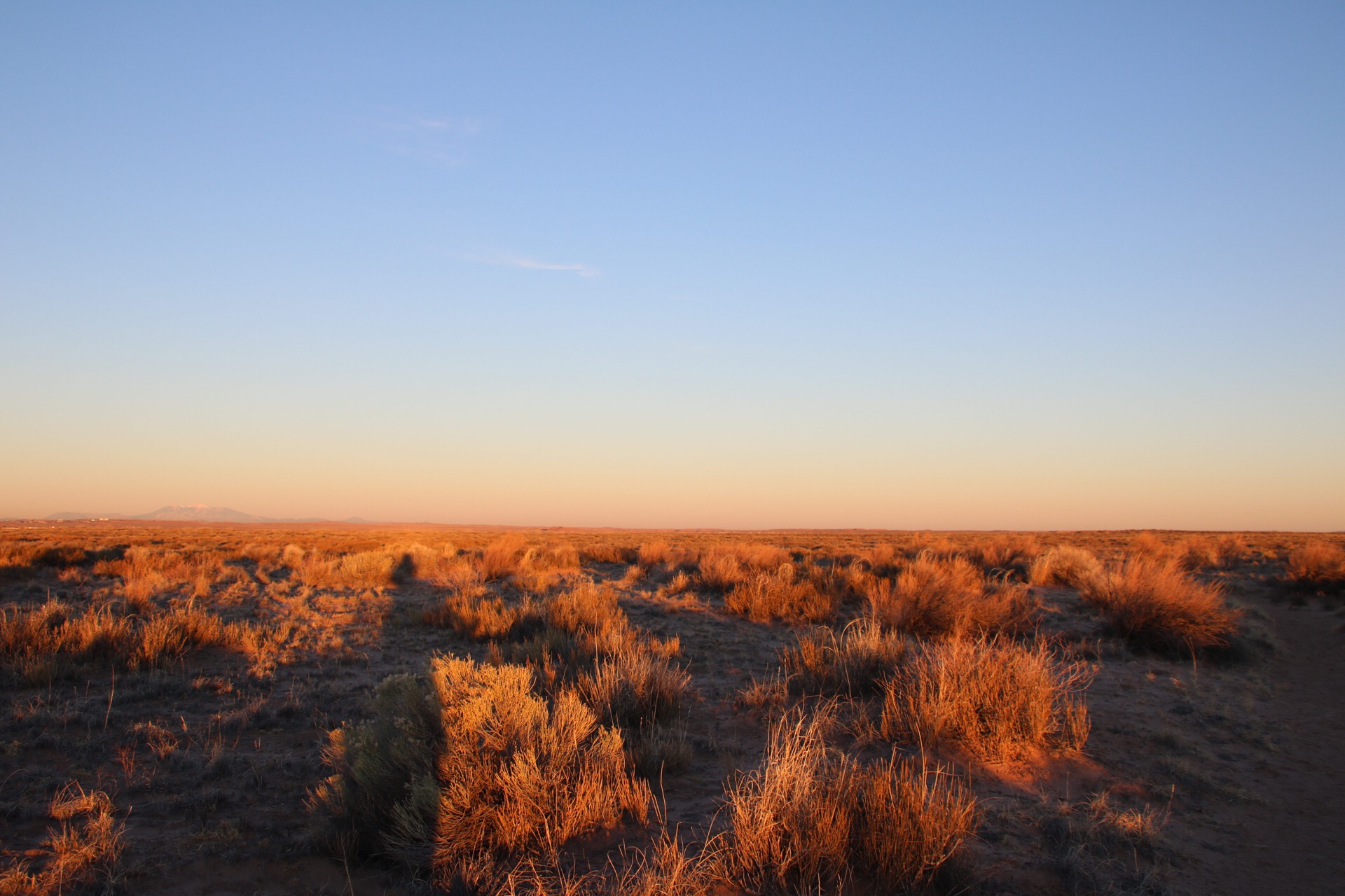 Winter desert morning all to ourselves 