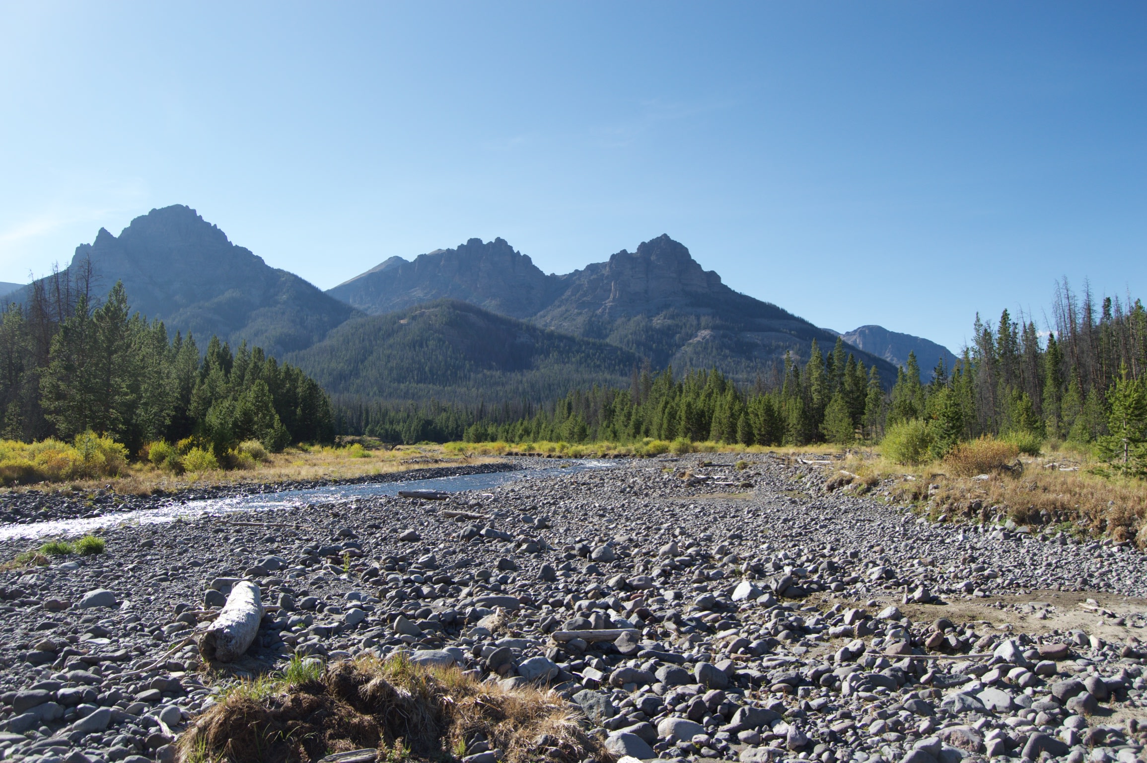 Double Cabin Campground