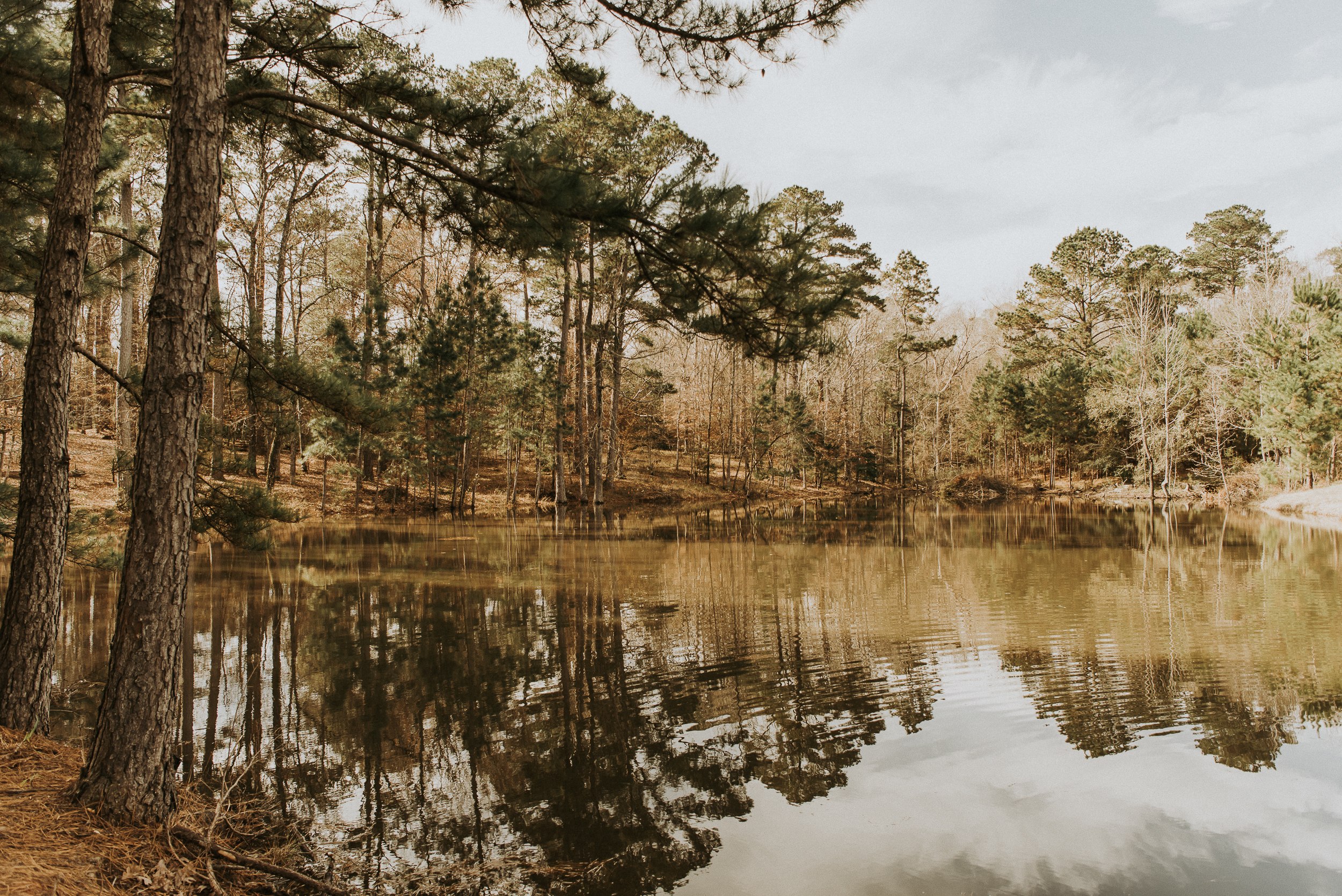 The back pond turns glassy. I'm sure in summer, when the trees are big with leaves, that this view is stunning.