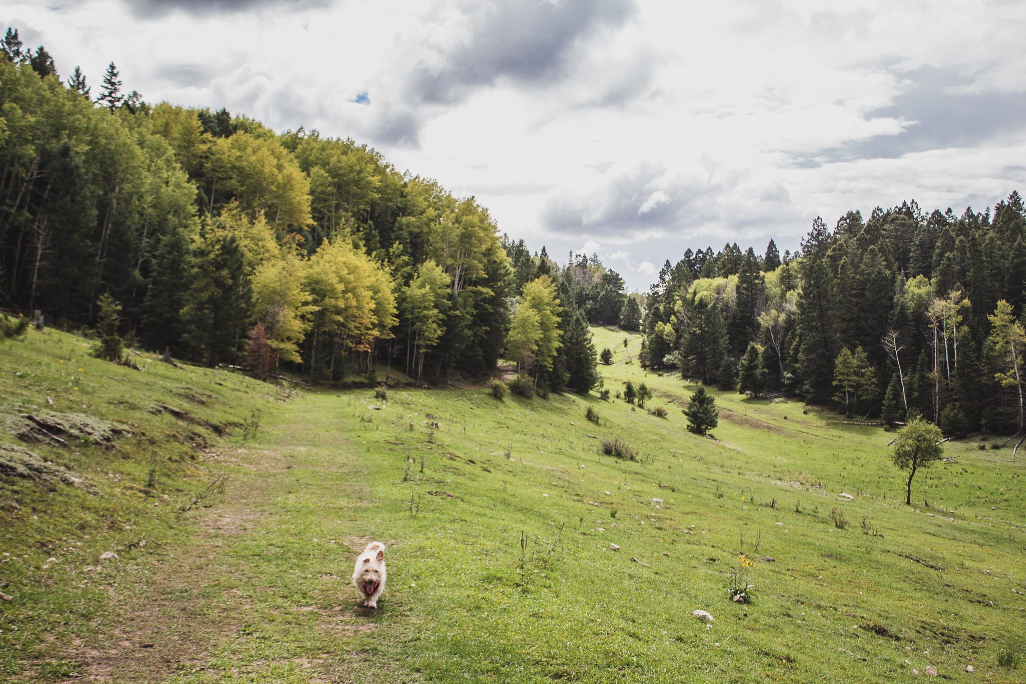 Upper Karr Recreation Area