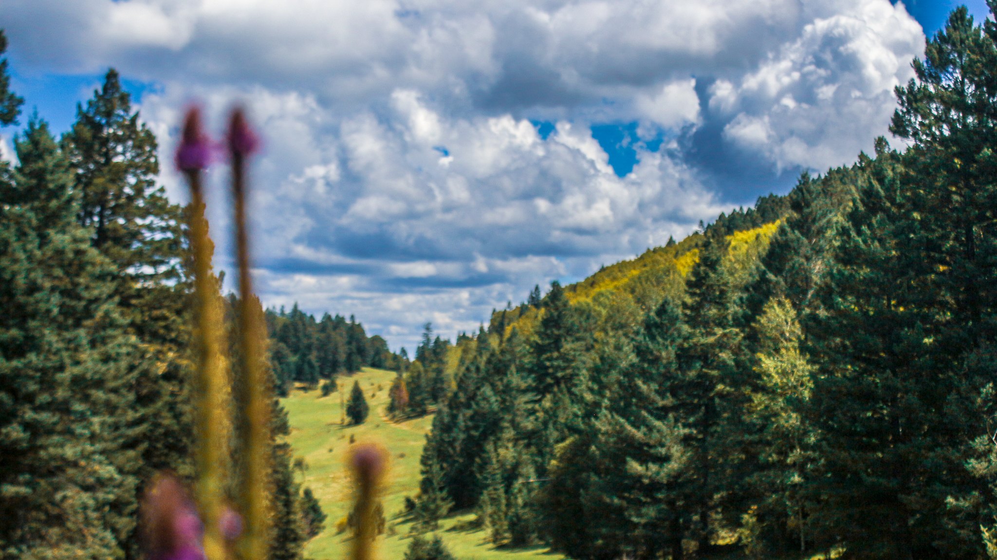 Upper Karr Recreation Area