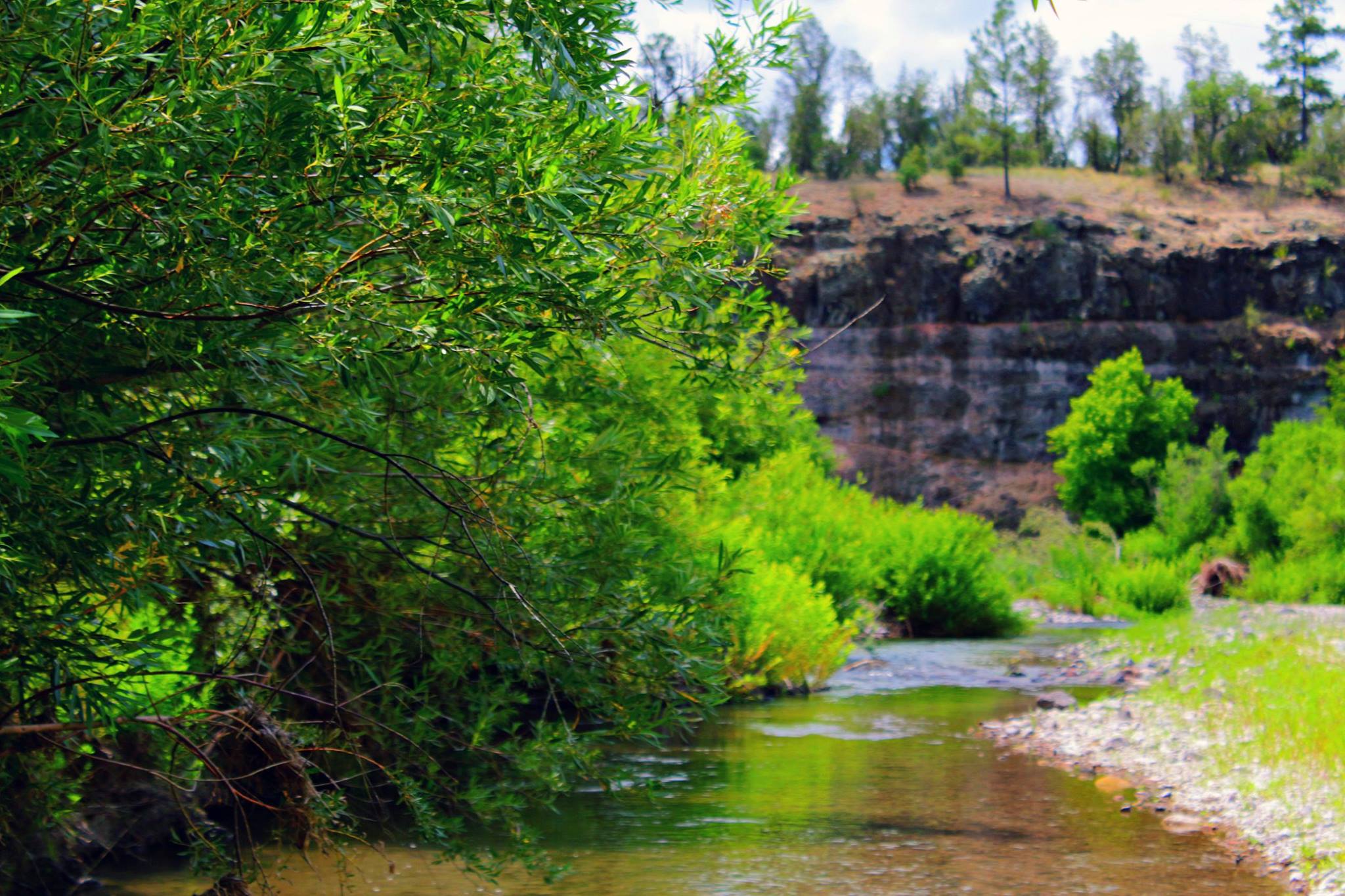 Grapevine Campground