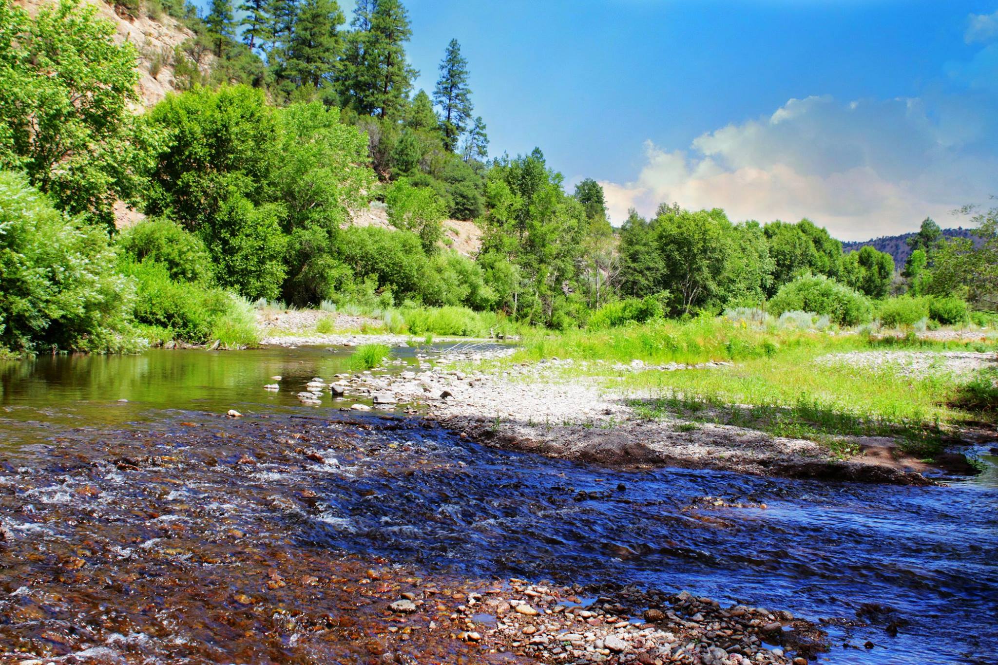 Gila National Forest